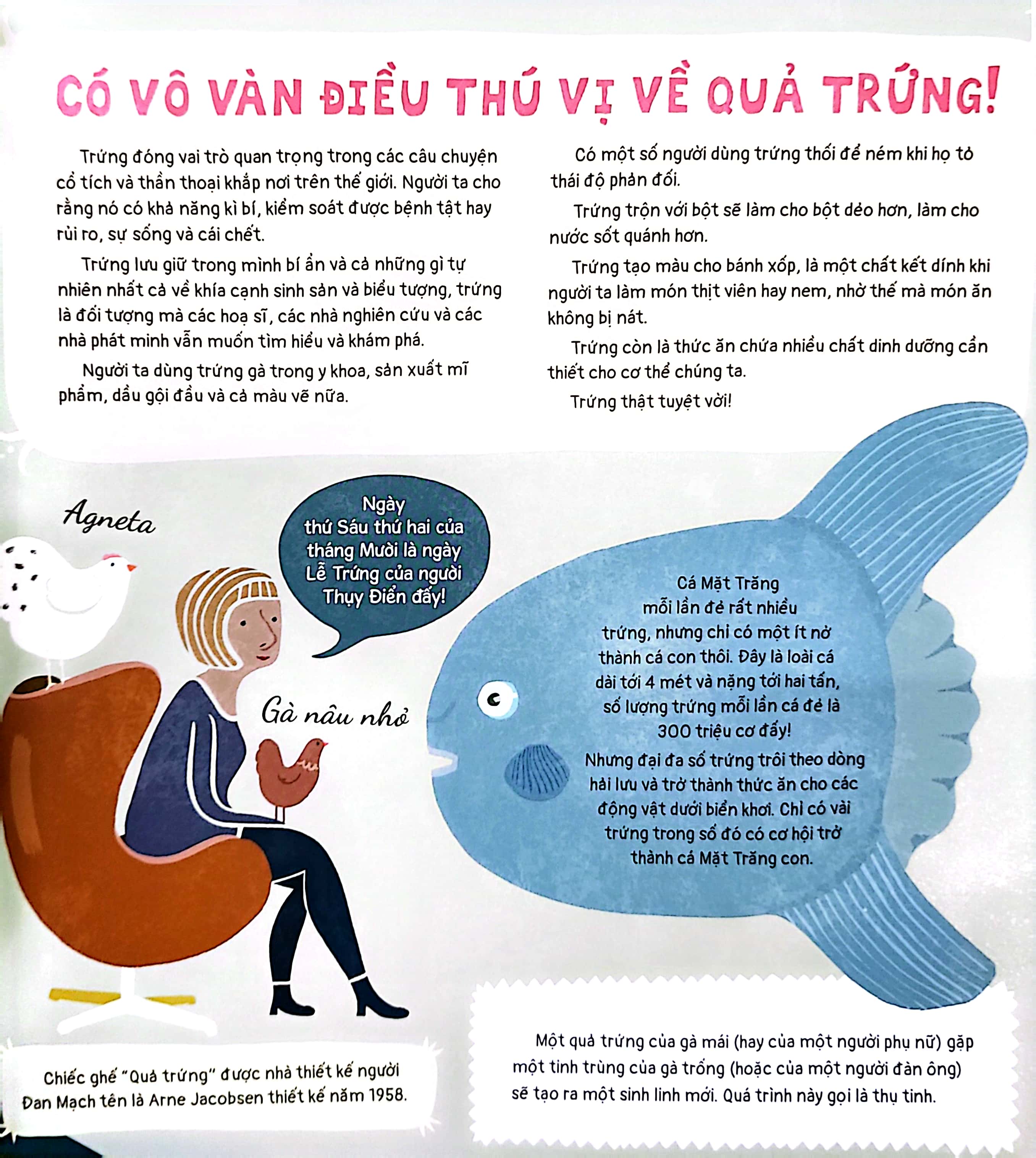 quả trứng và hơn thế nữa - dưới góc nhìn sinh học và văn hóa, kèm theo các trò chơi và thực hành thú vị