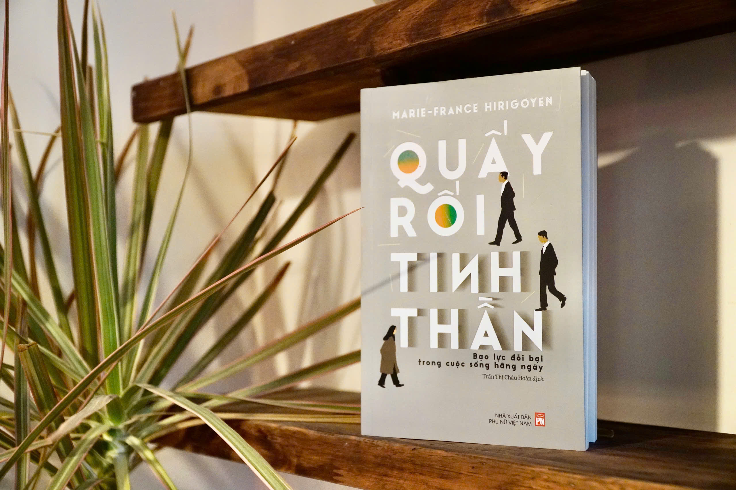 Quay Roi Tinh Than - Bao Luc Doi Bai Trong Cuoc Song Hang Ngay