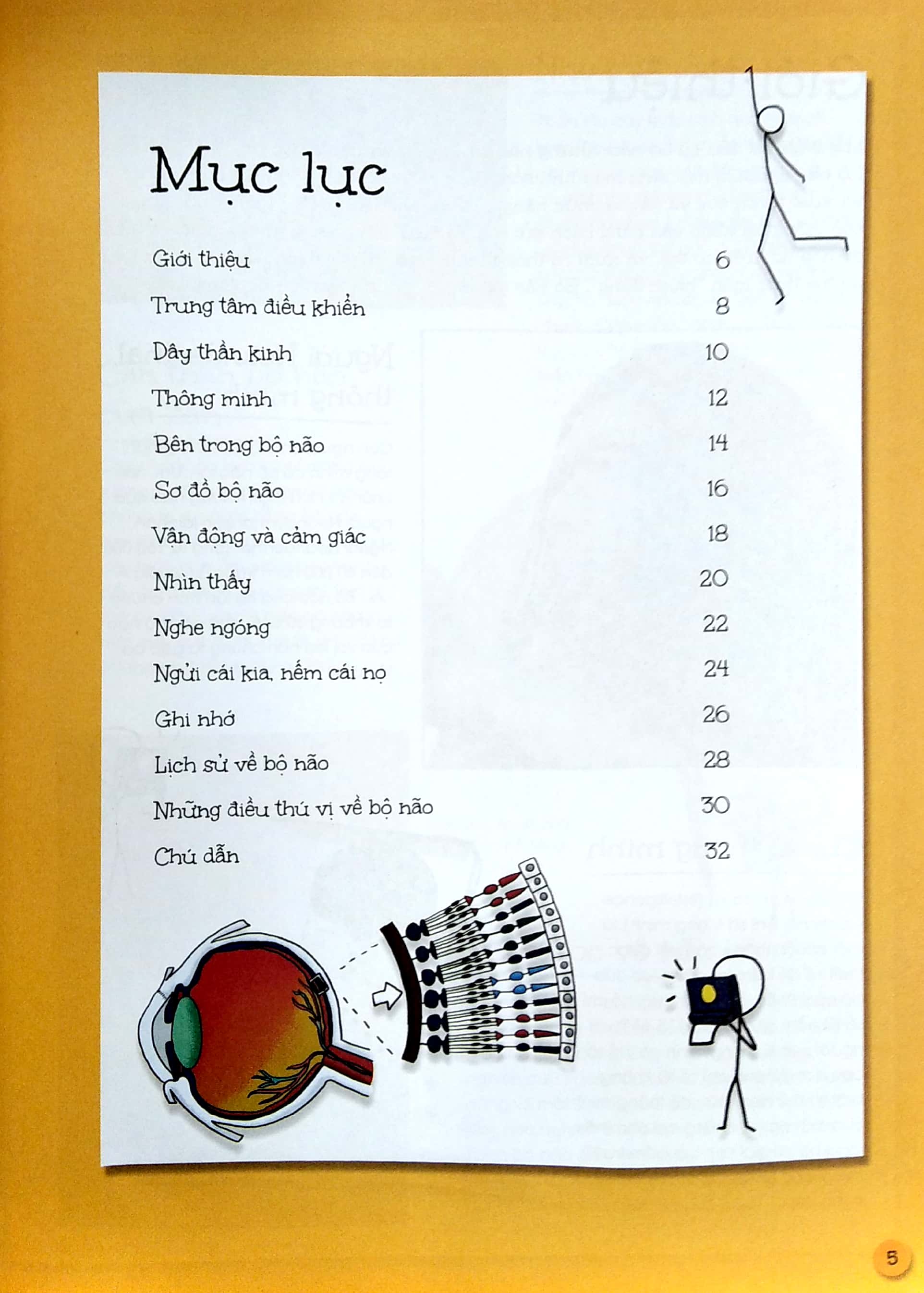 que que thích khám phá: bộ não thông thái - và hệ thống dây thần kinh bận rộn