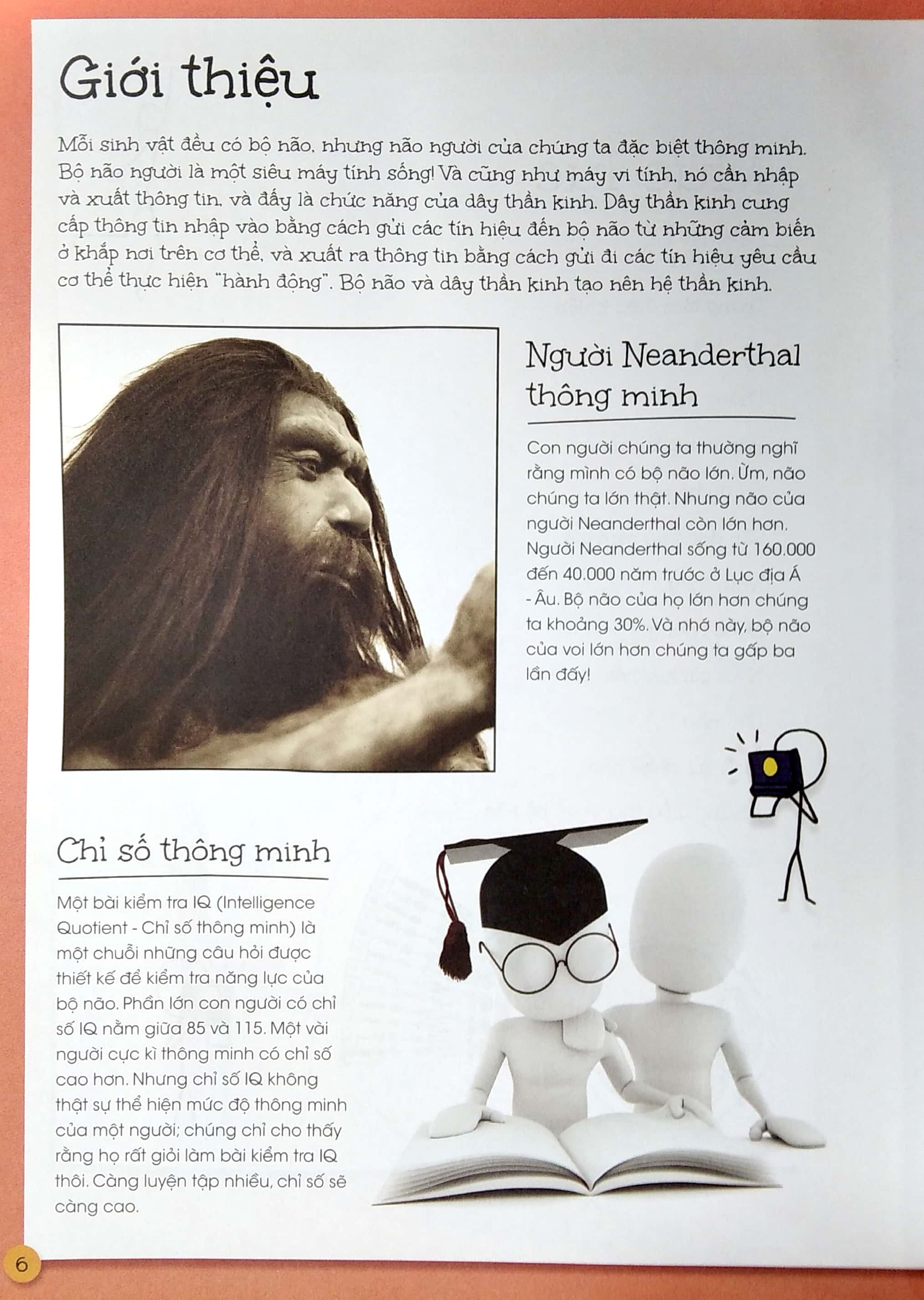 que que thích khám phá: bộ não thông thái - và hệ thống dây thần kinh bận rộn