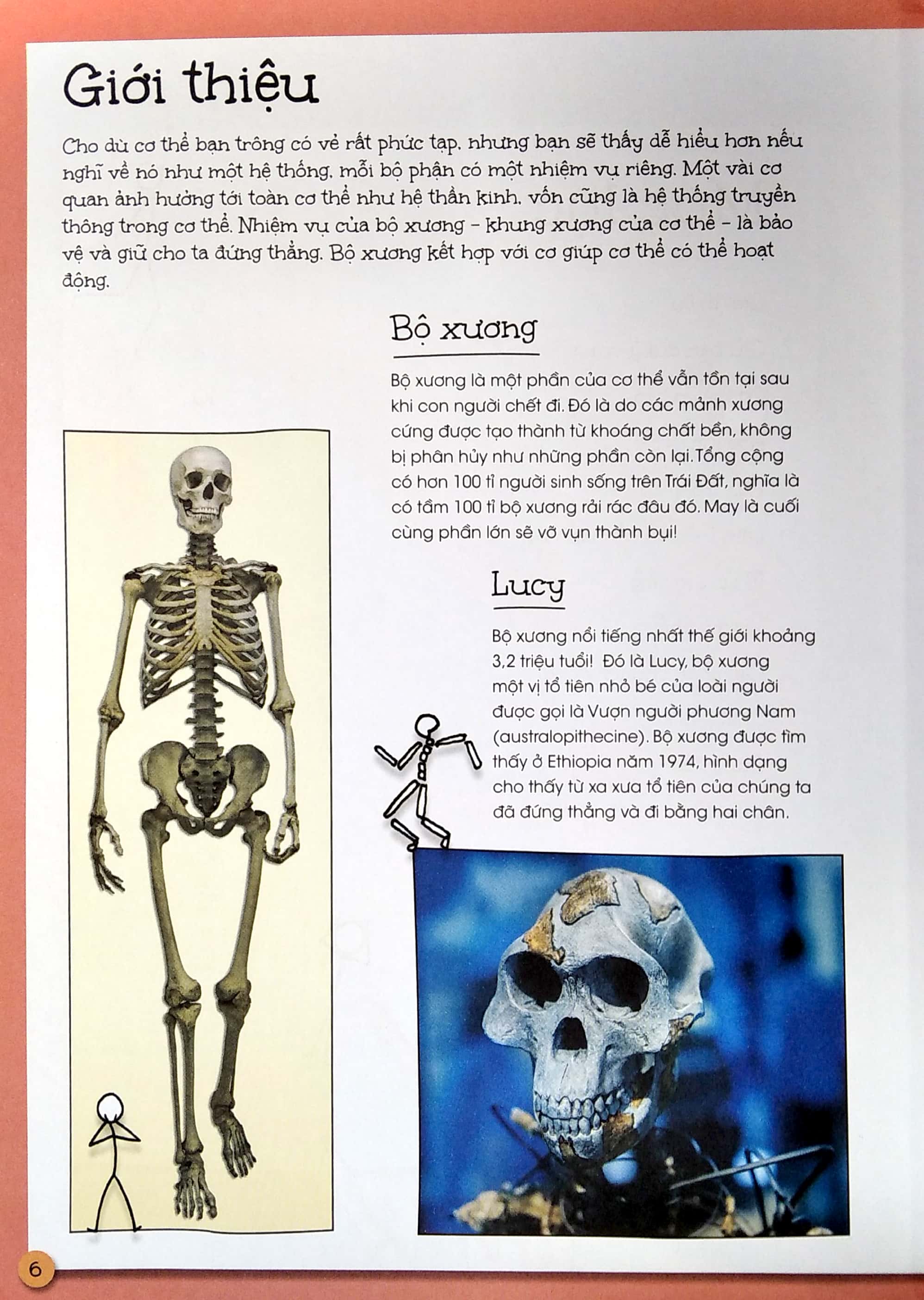 que que thích khám phá: cơ xương chắc khỏe - giữ bạn đứng vững và giúp bạn mạnh mẽ