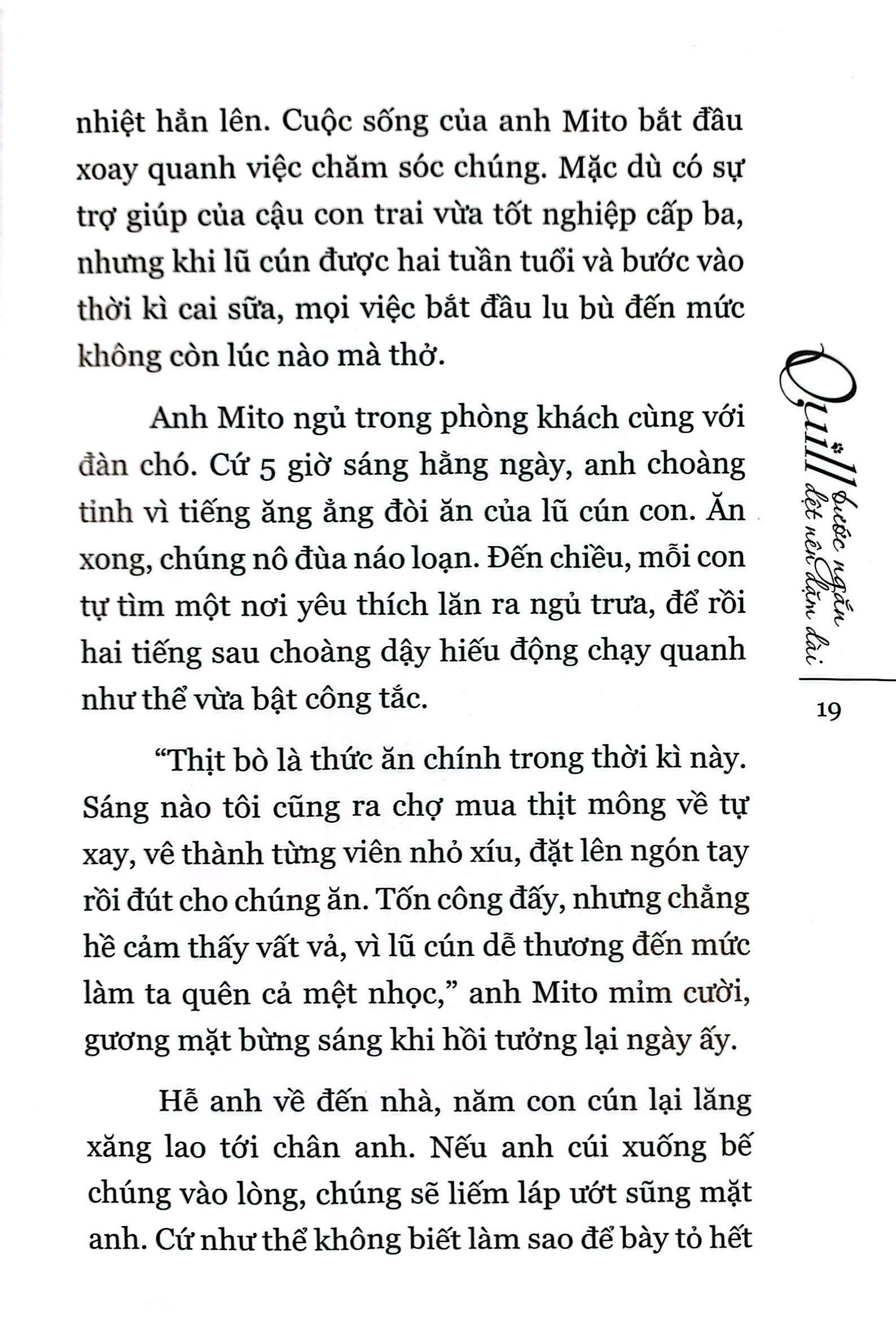 quill - bước ngắn dệt nên dặm dài