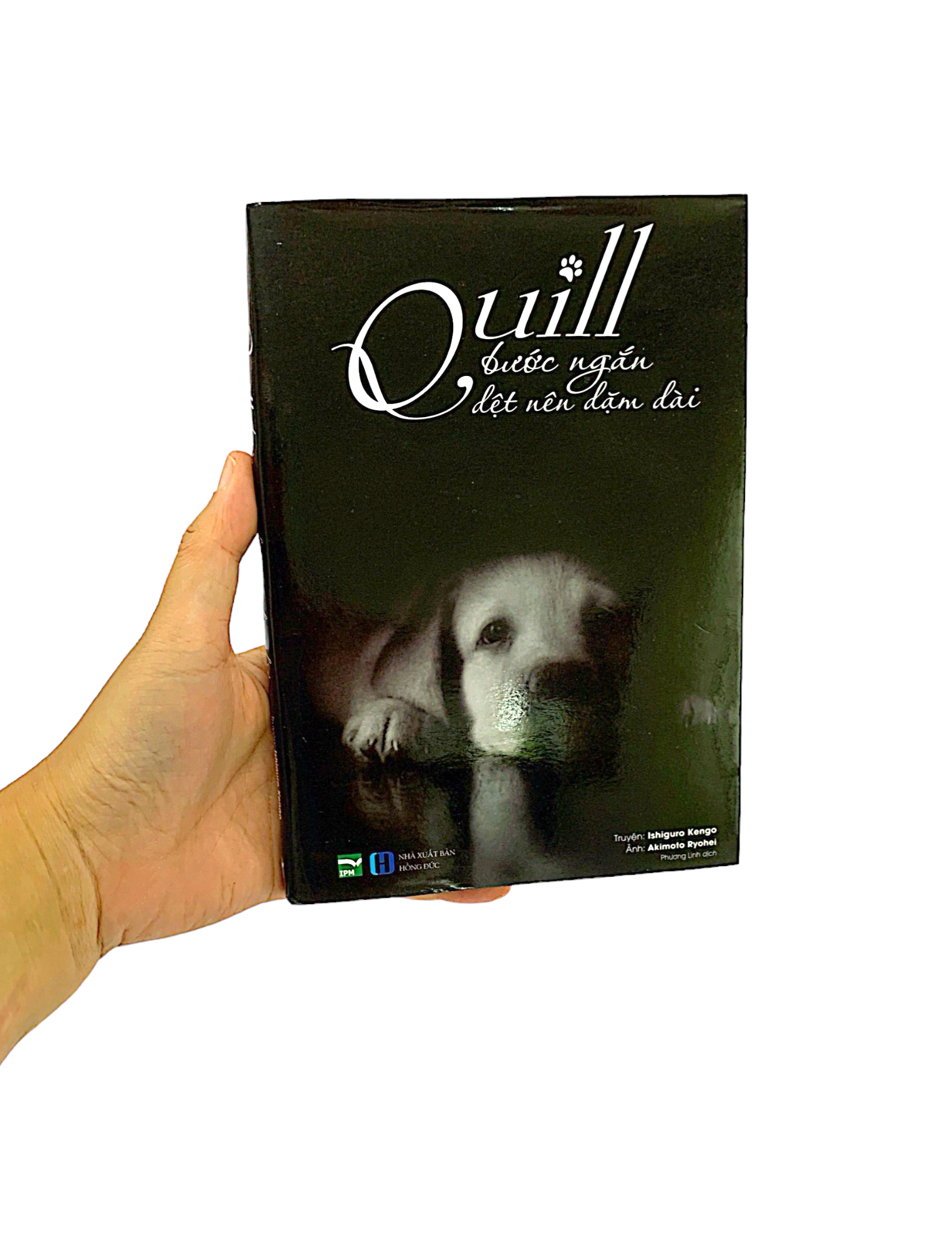 quill - bước ngắn dệt nên dặm dài