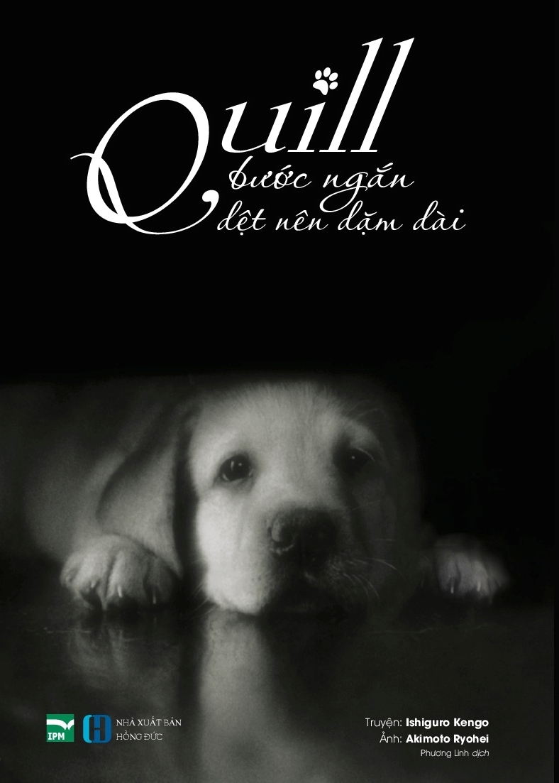 quill - bước ngắn dệt nên dặm dài