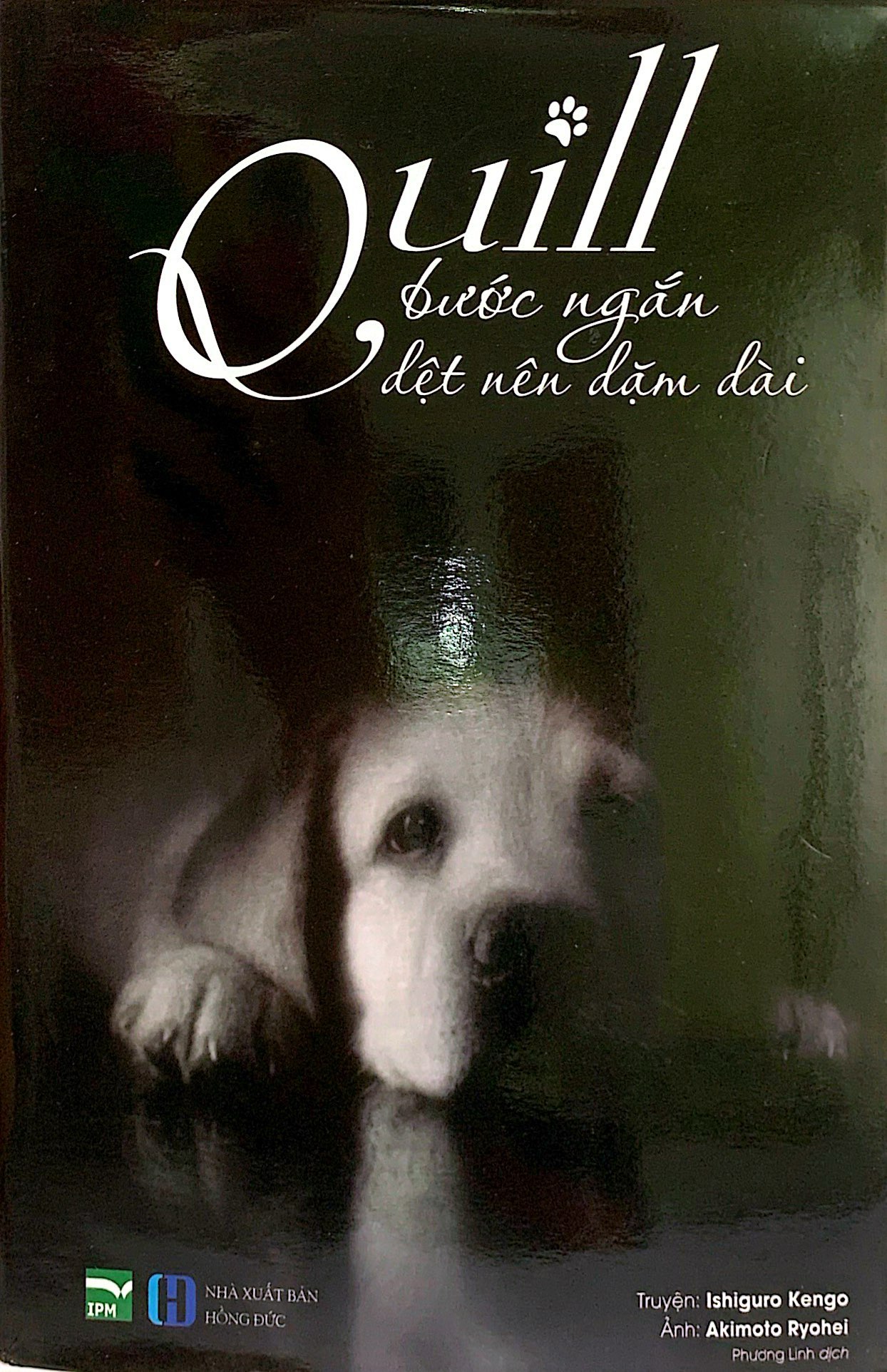 quill - bước ngắn dệt nên dặm dài