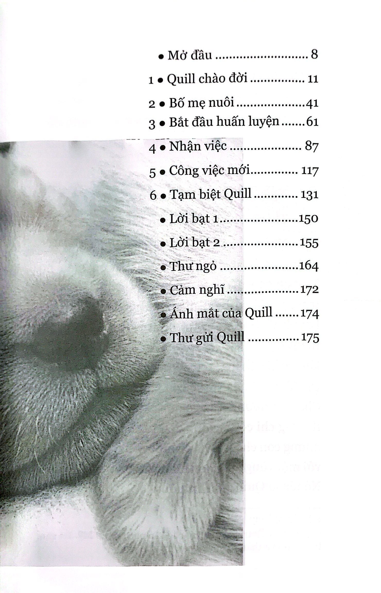 quill - bước ngắn dệt nên dặm dài