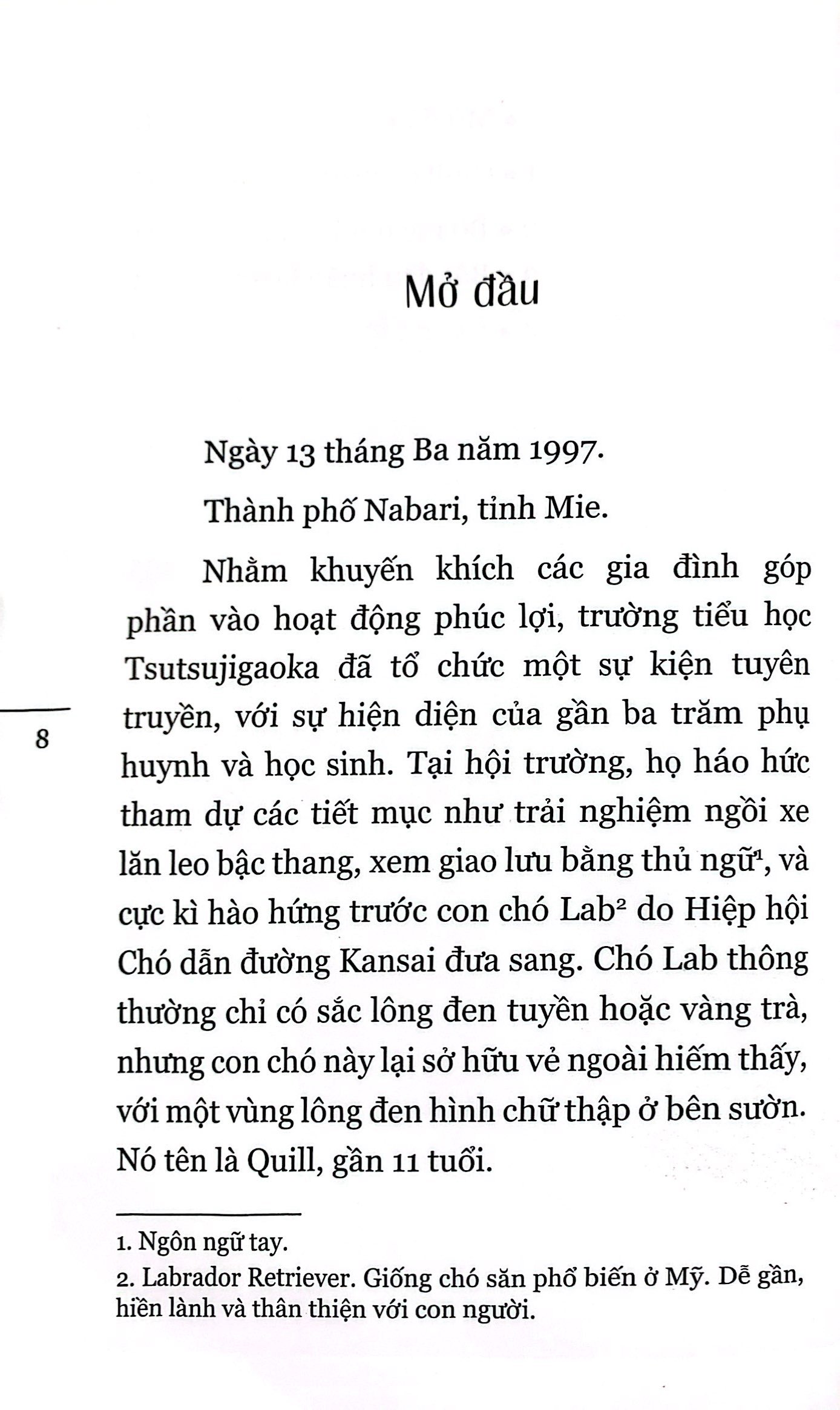 quill - bước ngắn dệt nên dặm dài