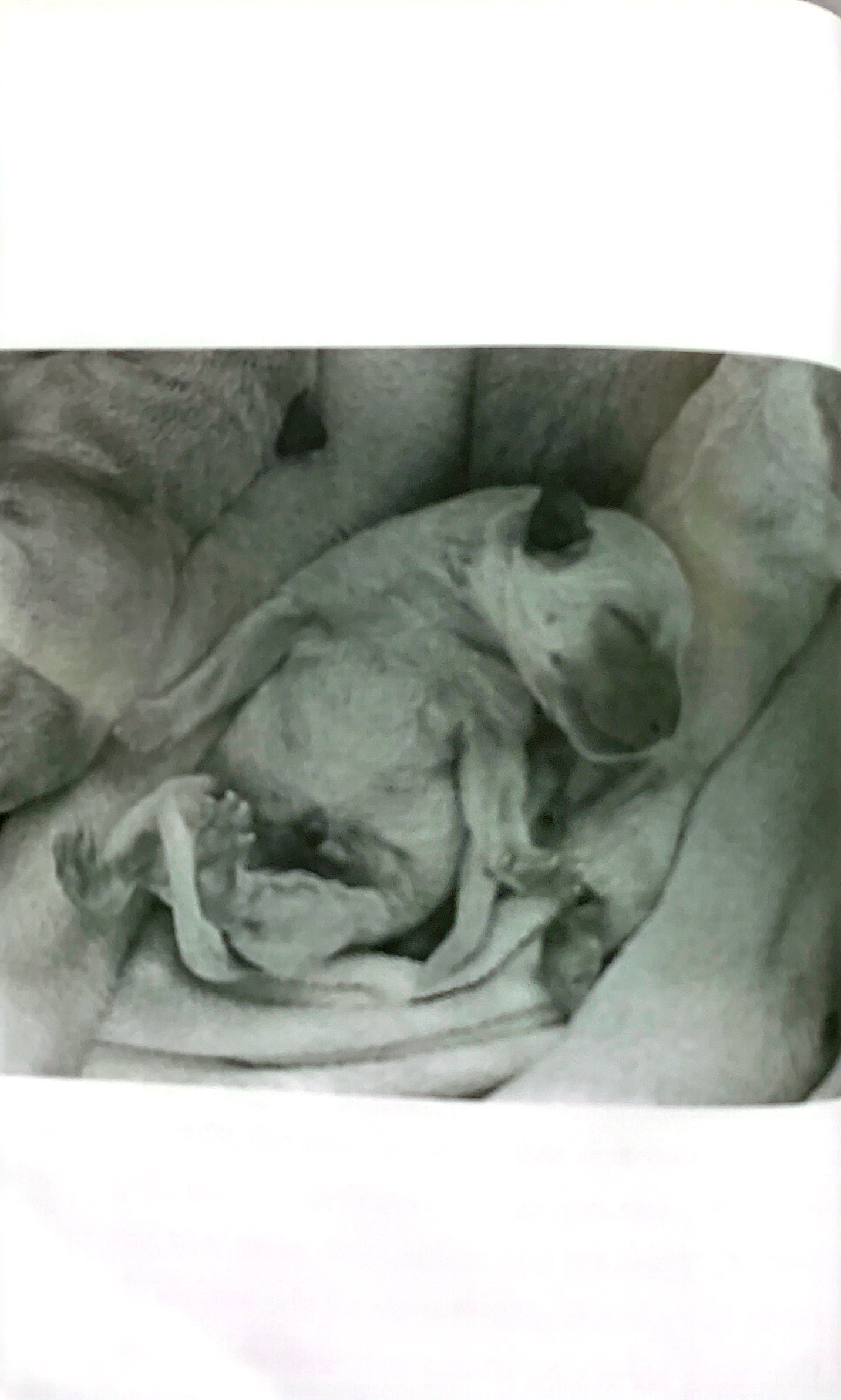 quill - bước ngắn dệt nên dặm dài