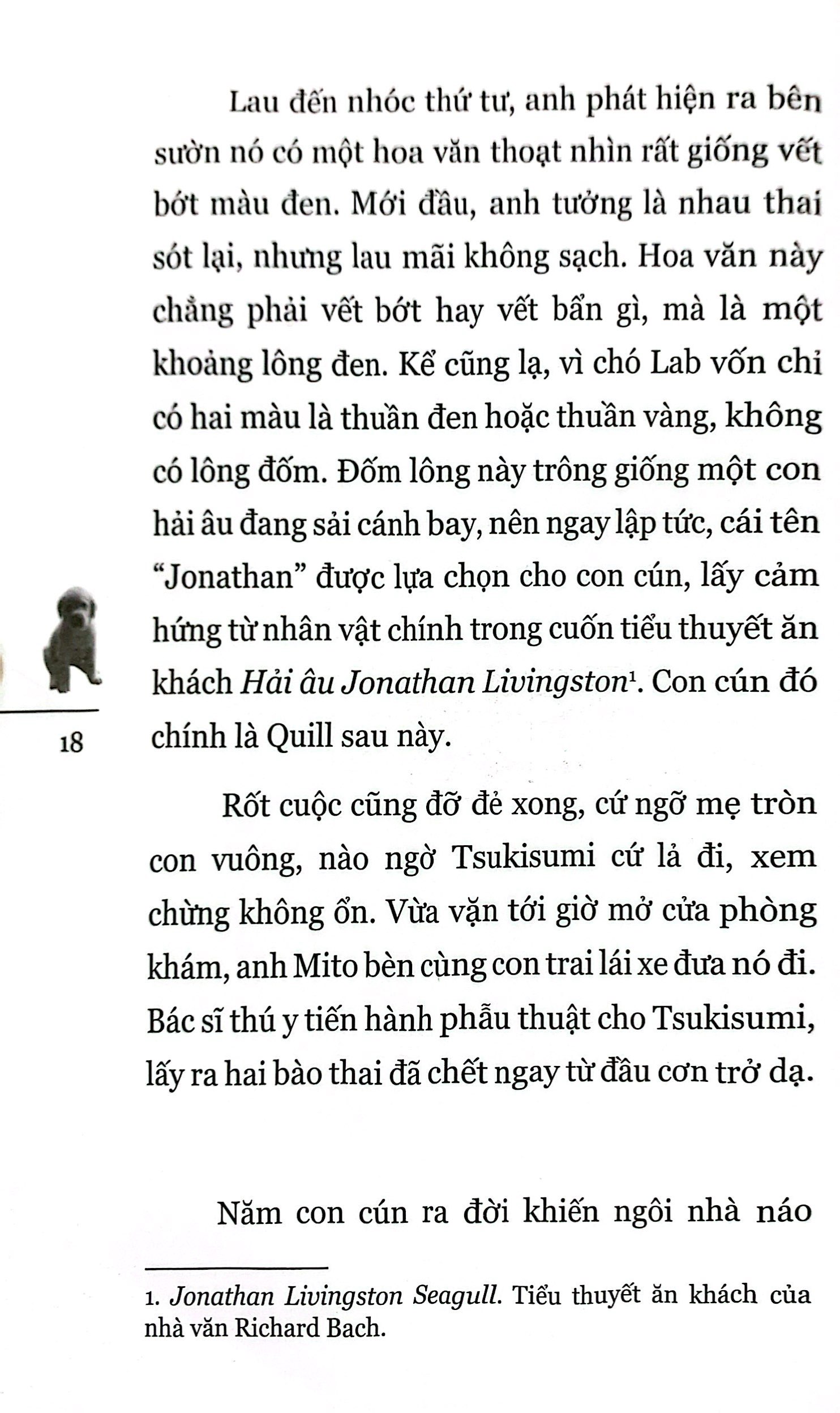 quill - bước ngắn dệt nên dặm dài