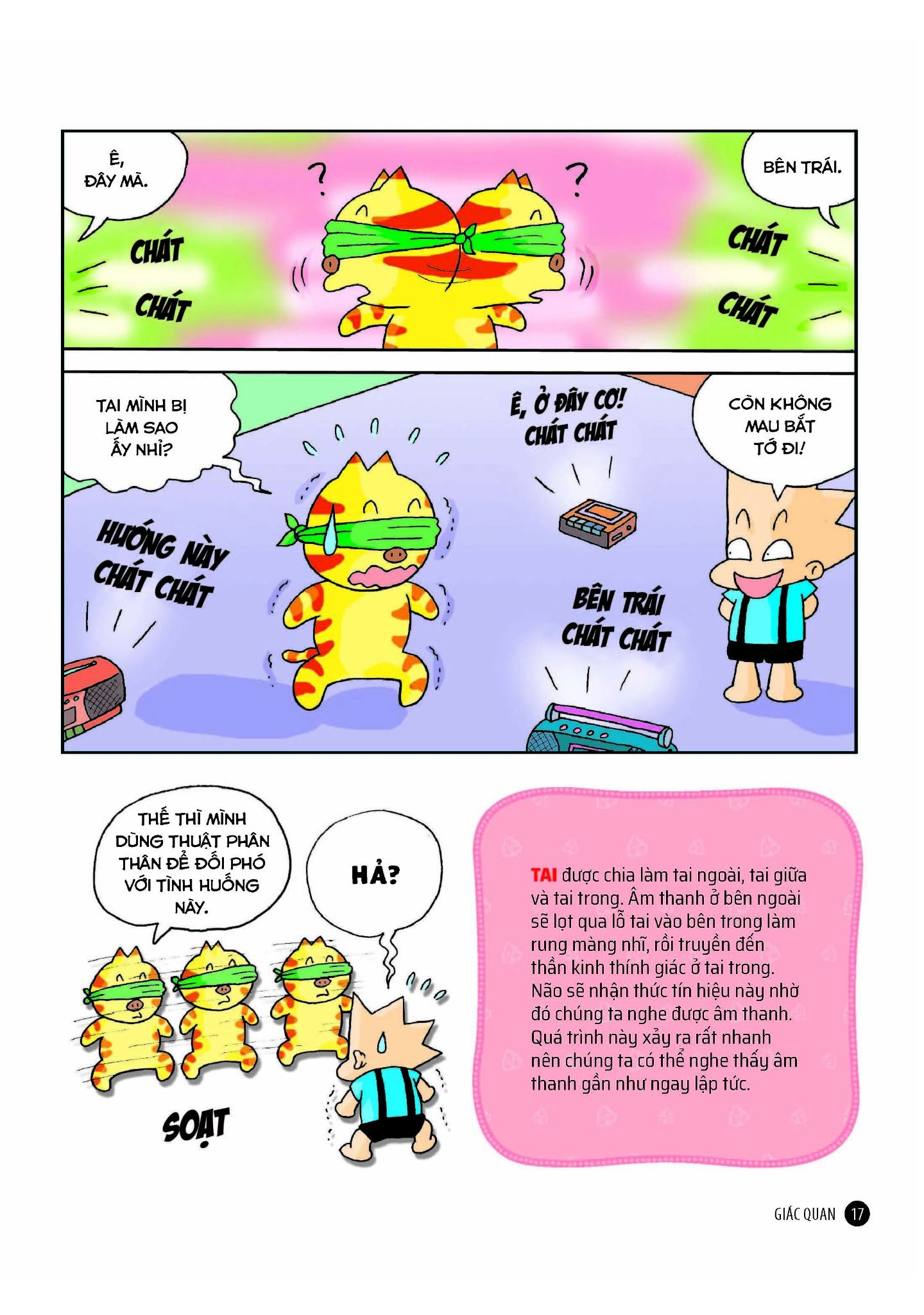 quiz! khoa học kì thú - cơ thể con người (tái bản 2024)