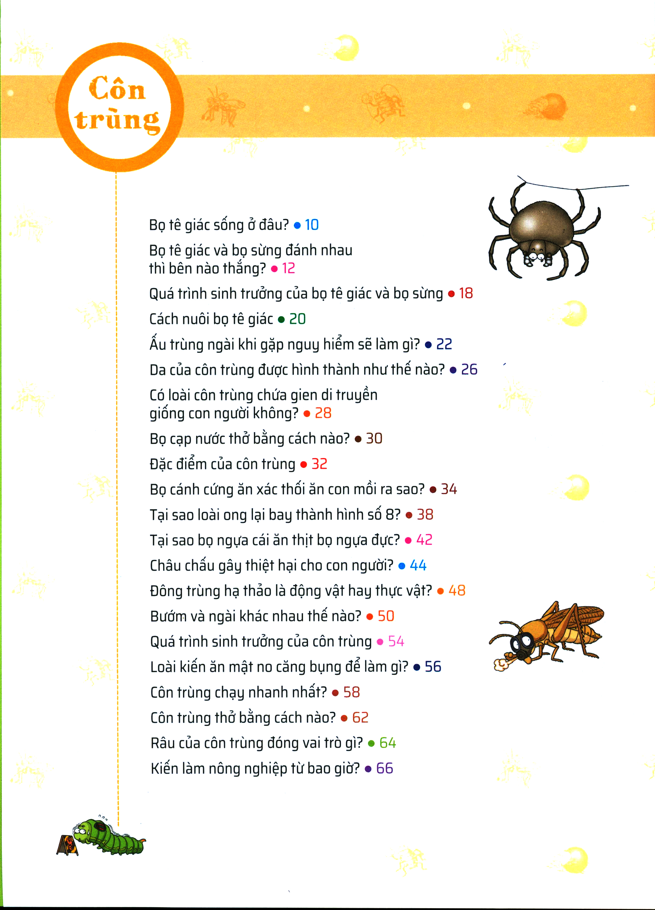 quiz! khoa học kì thú - côn trùng (tái bản 2024)