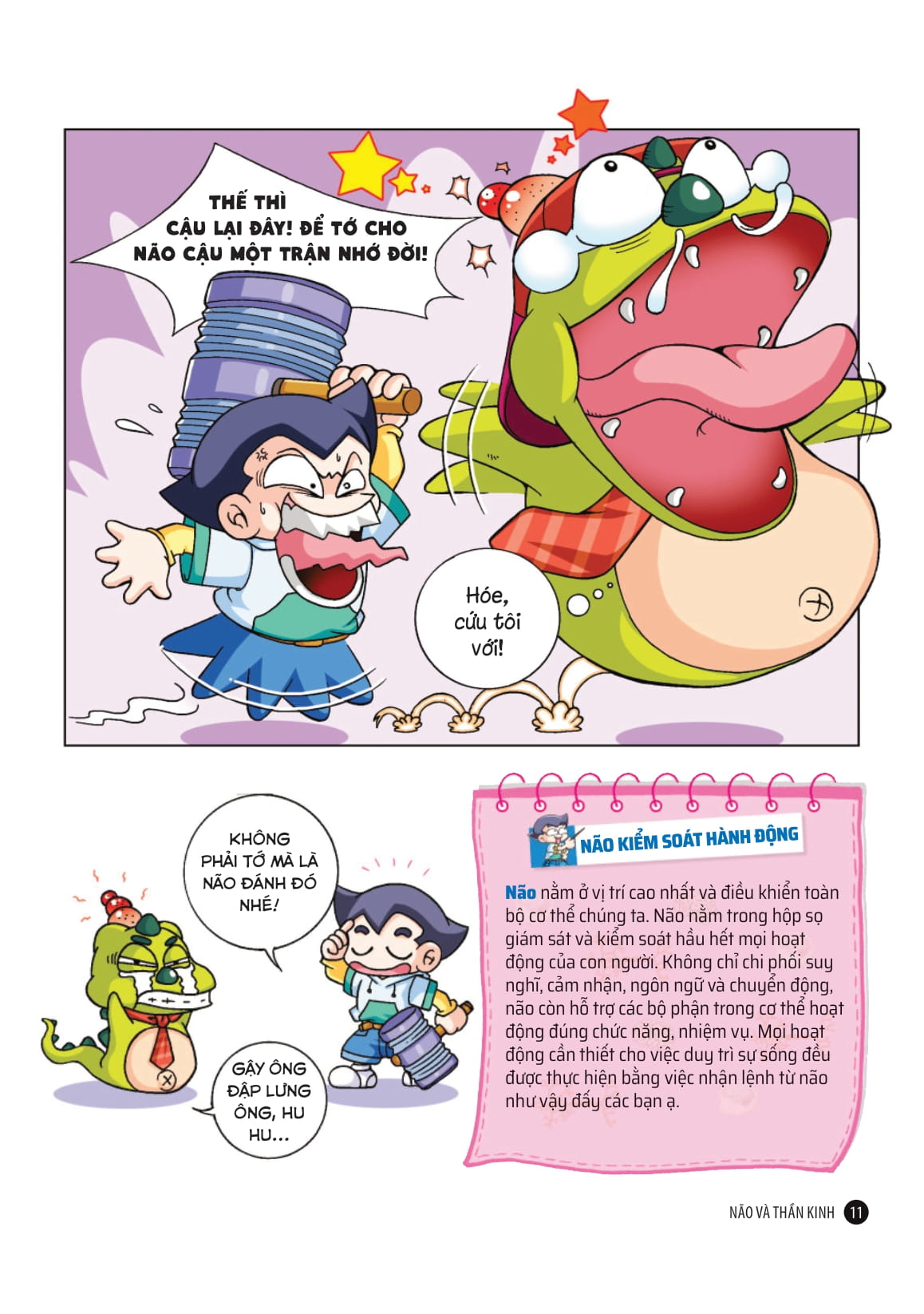 quiz! khoa học kì thú - khám phá não bộ