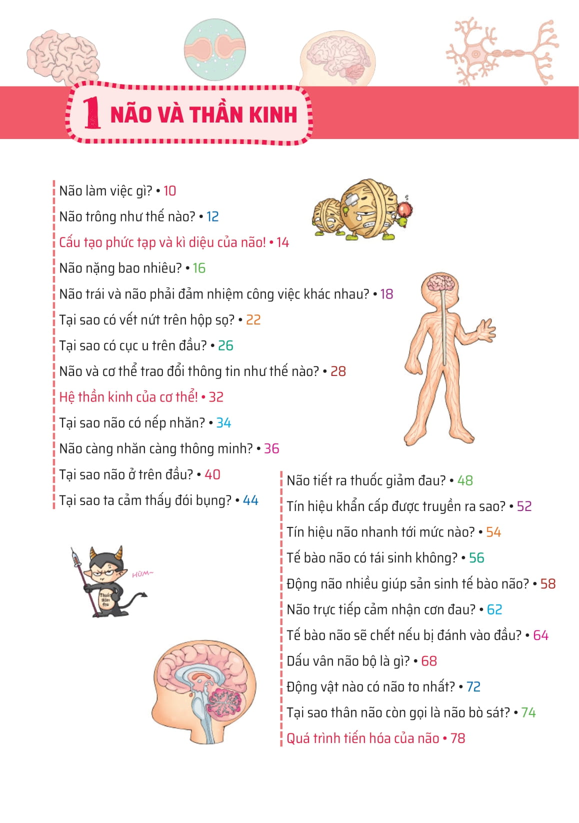 quiz! khoa học kì thú - khám phá não bộ