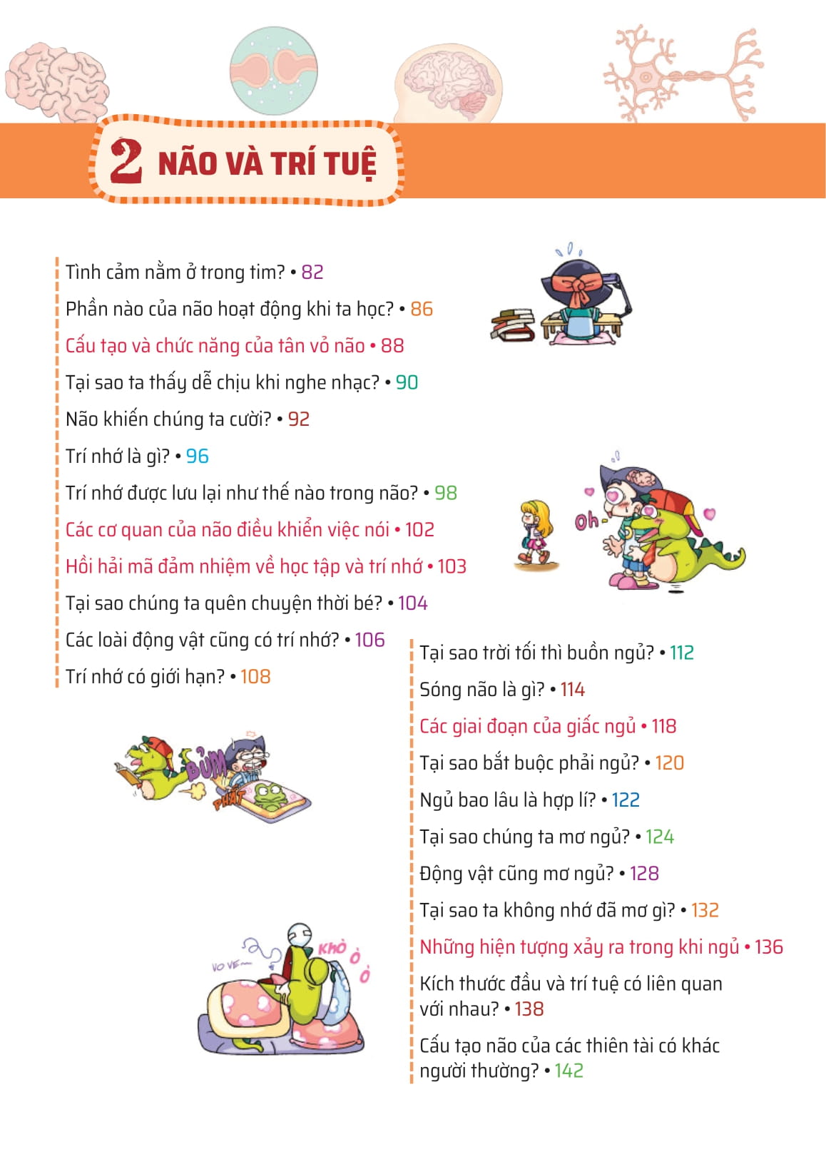 quiz! khoa học kì thú - khám phá não bộ