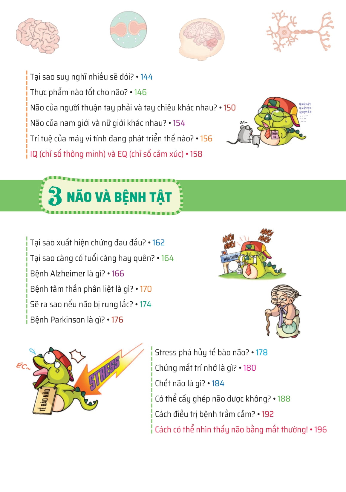 quiz! khoa học kì thú - khám phá não bộ