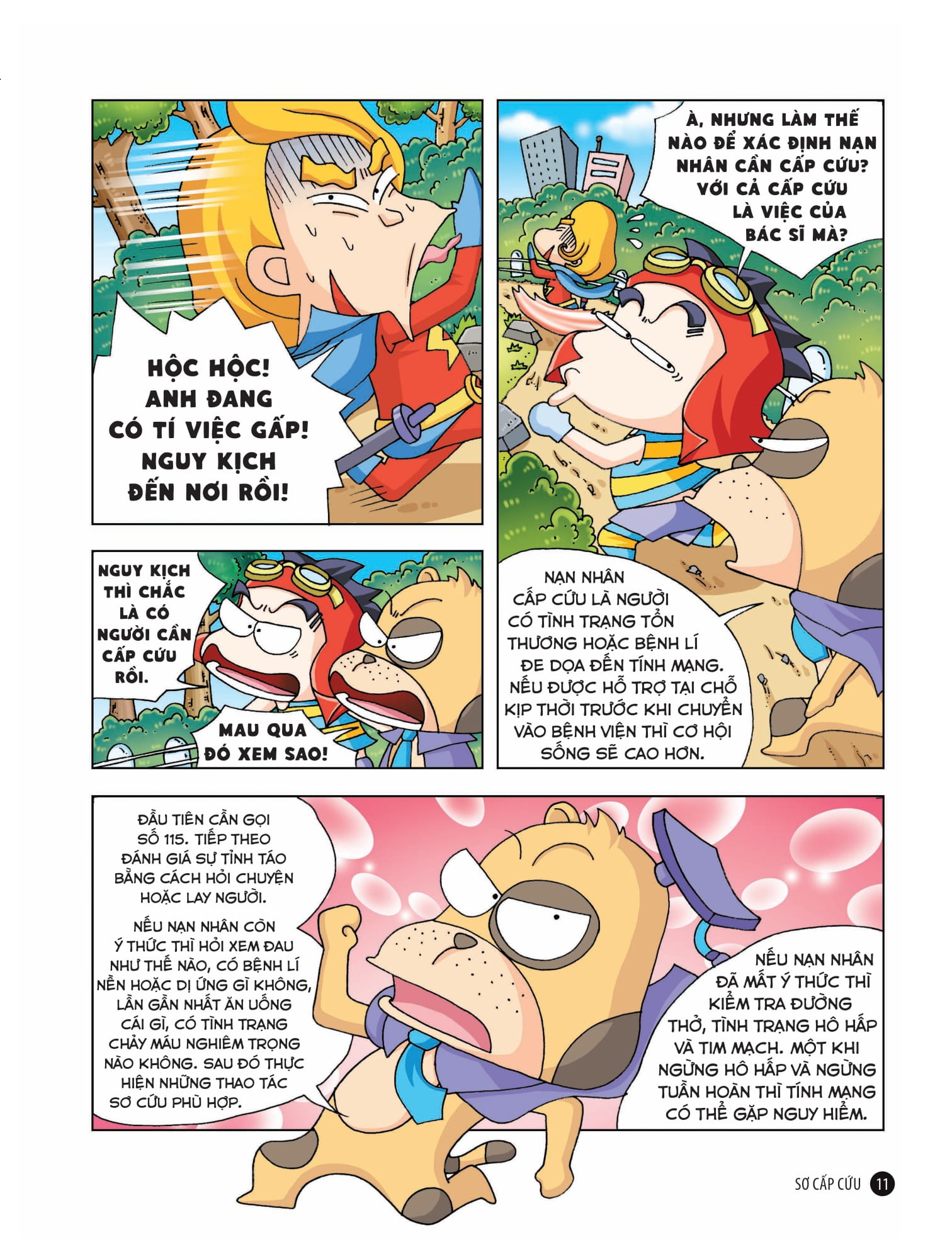 quiz! khoa học kì thú - sơ cấp cứu