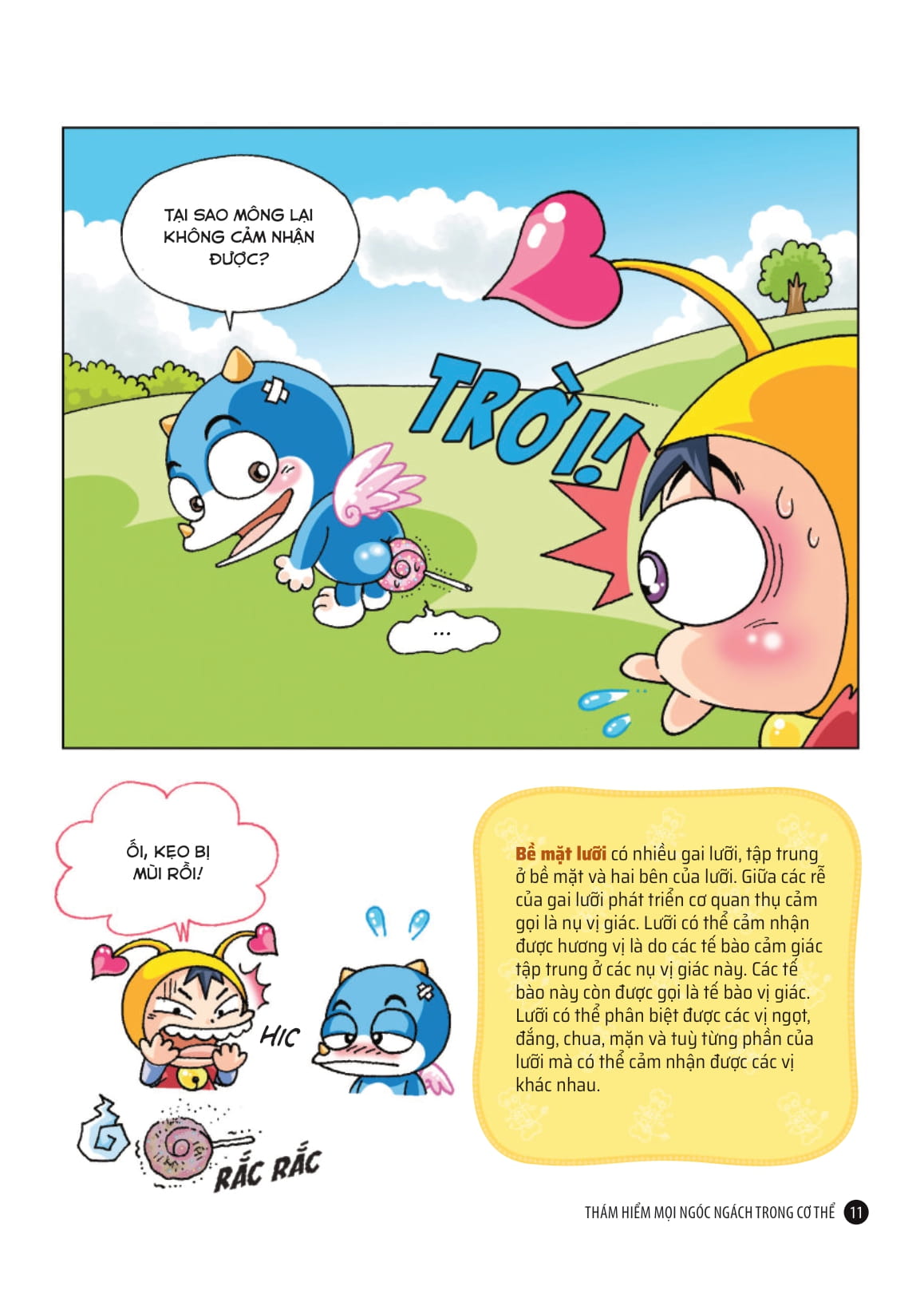 quiz! khoa học kì thú - thám hiểm cơ thể