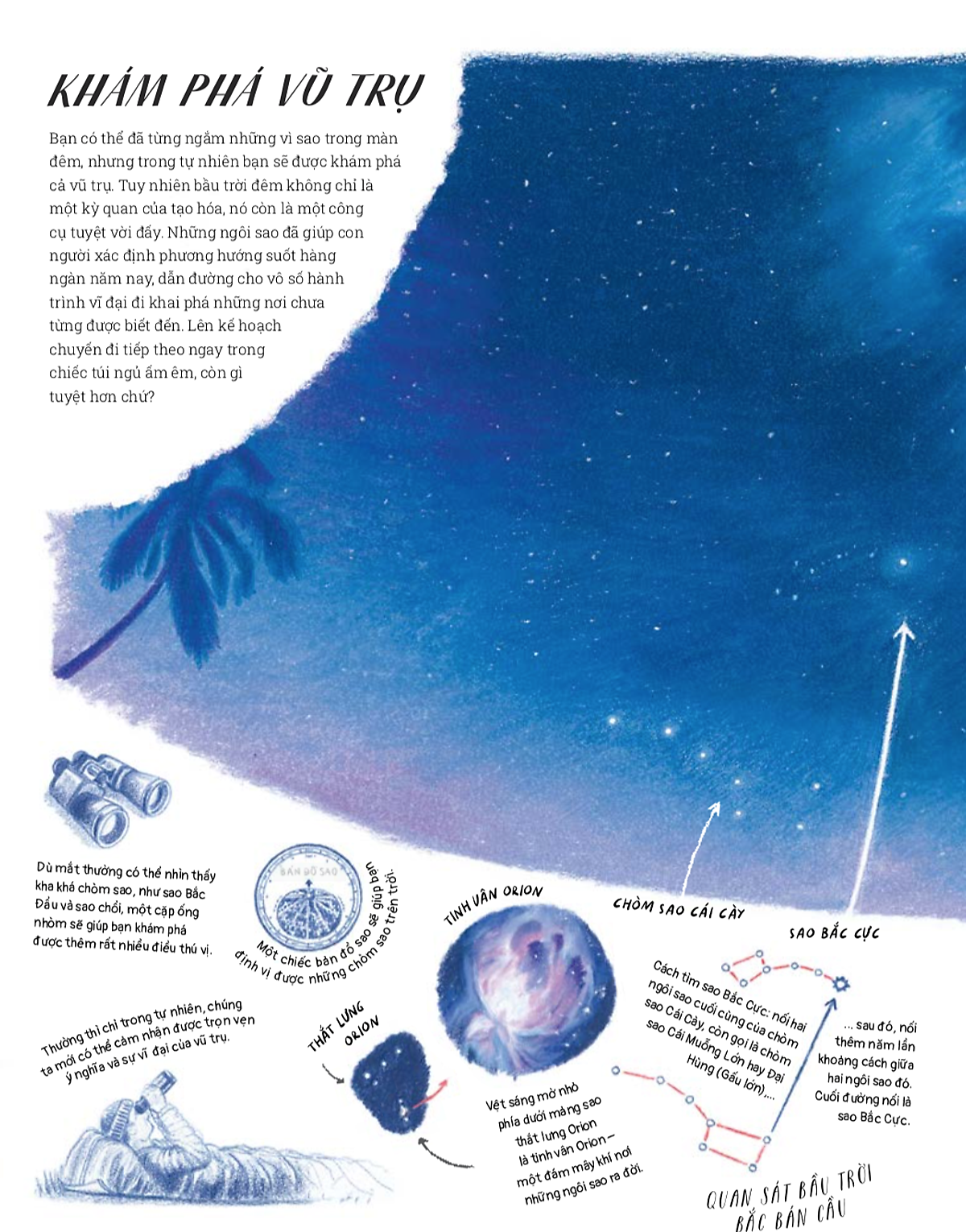 quyển sách thám hiểm thất truyền - the lost book of adventure