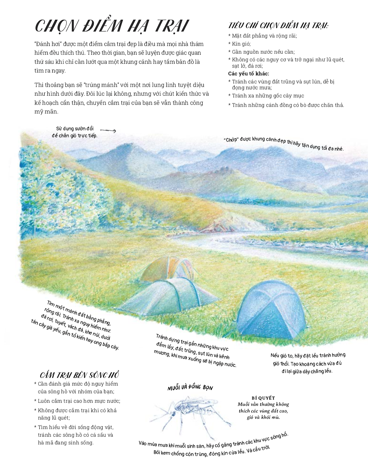 quyển sách thám hiểm thất truyền - the lost book of adventure