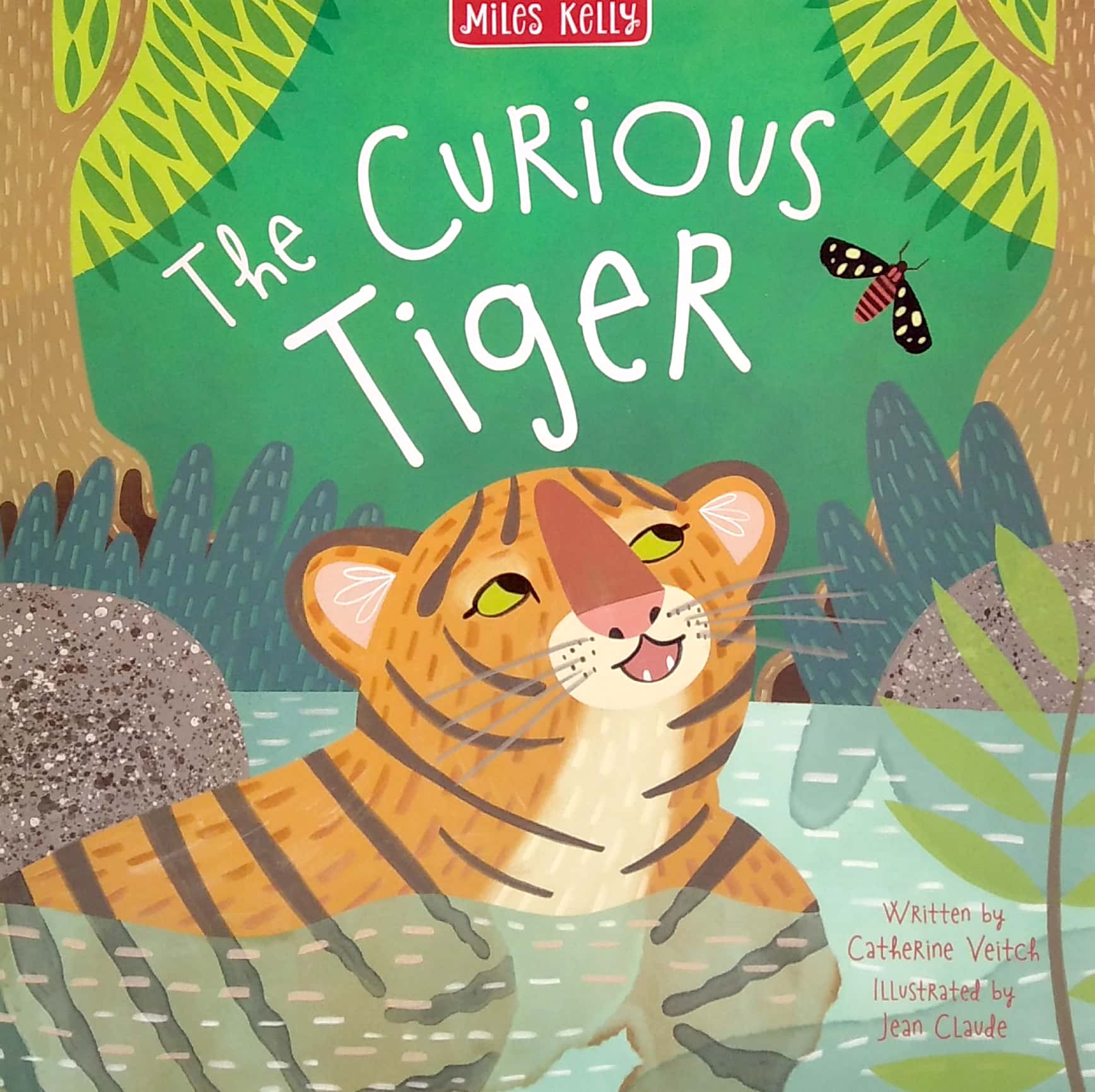 rainforest tales 4 book pack