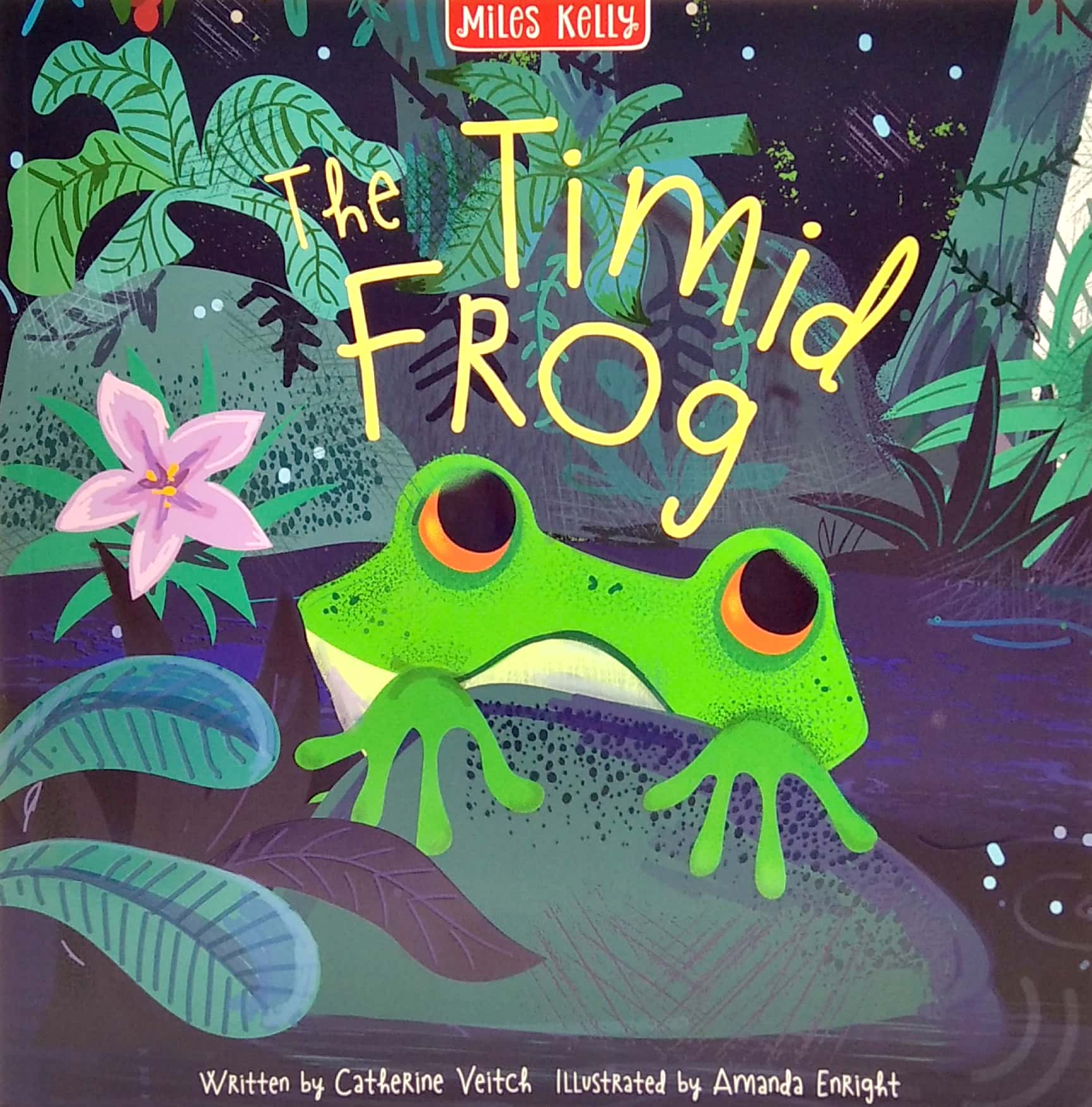 rainforest tales 4 book pack