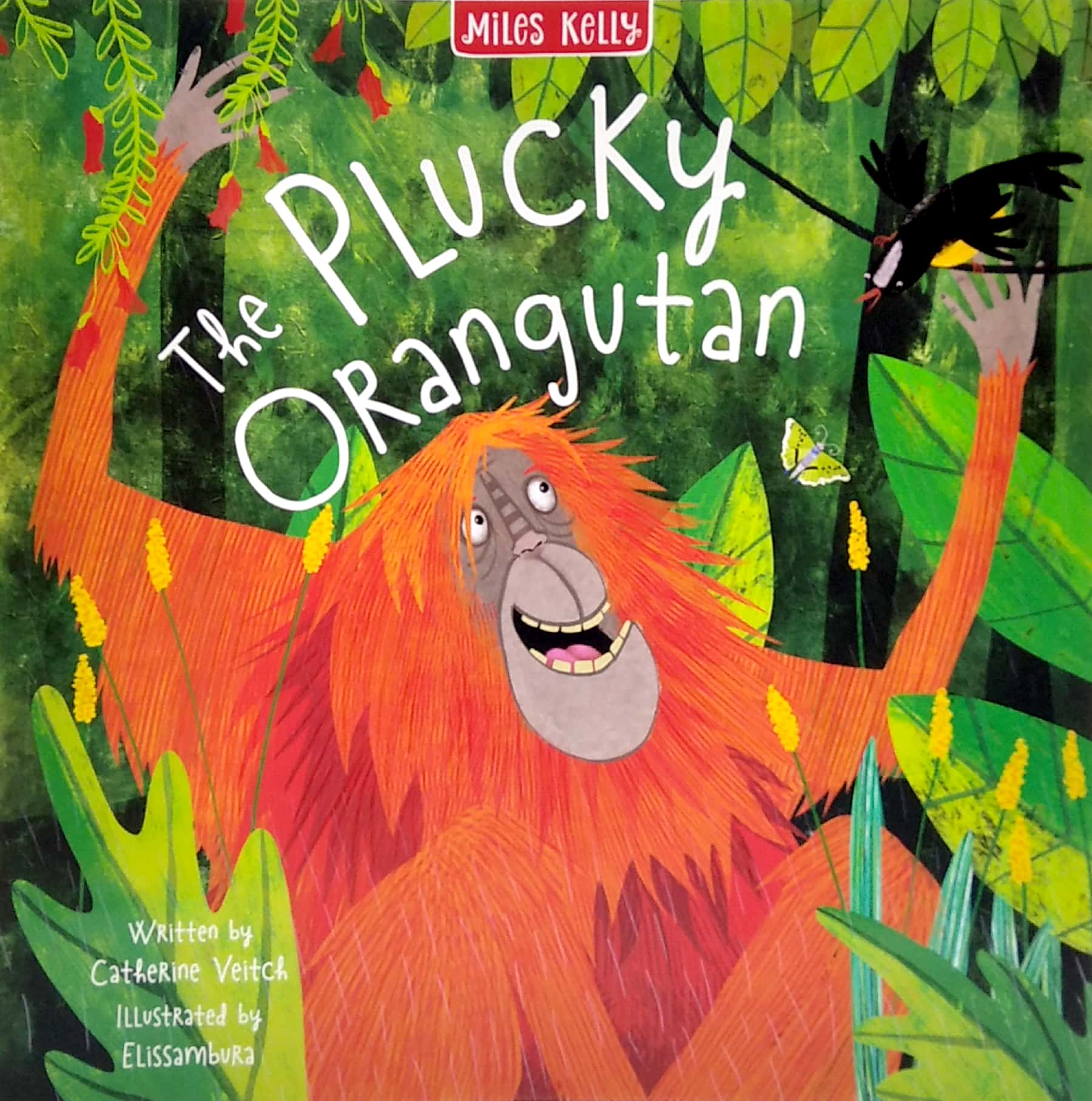 rainforest tales 4 book pack