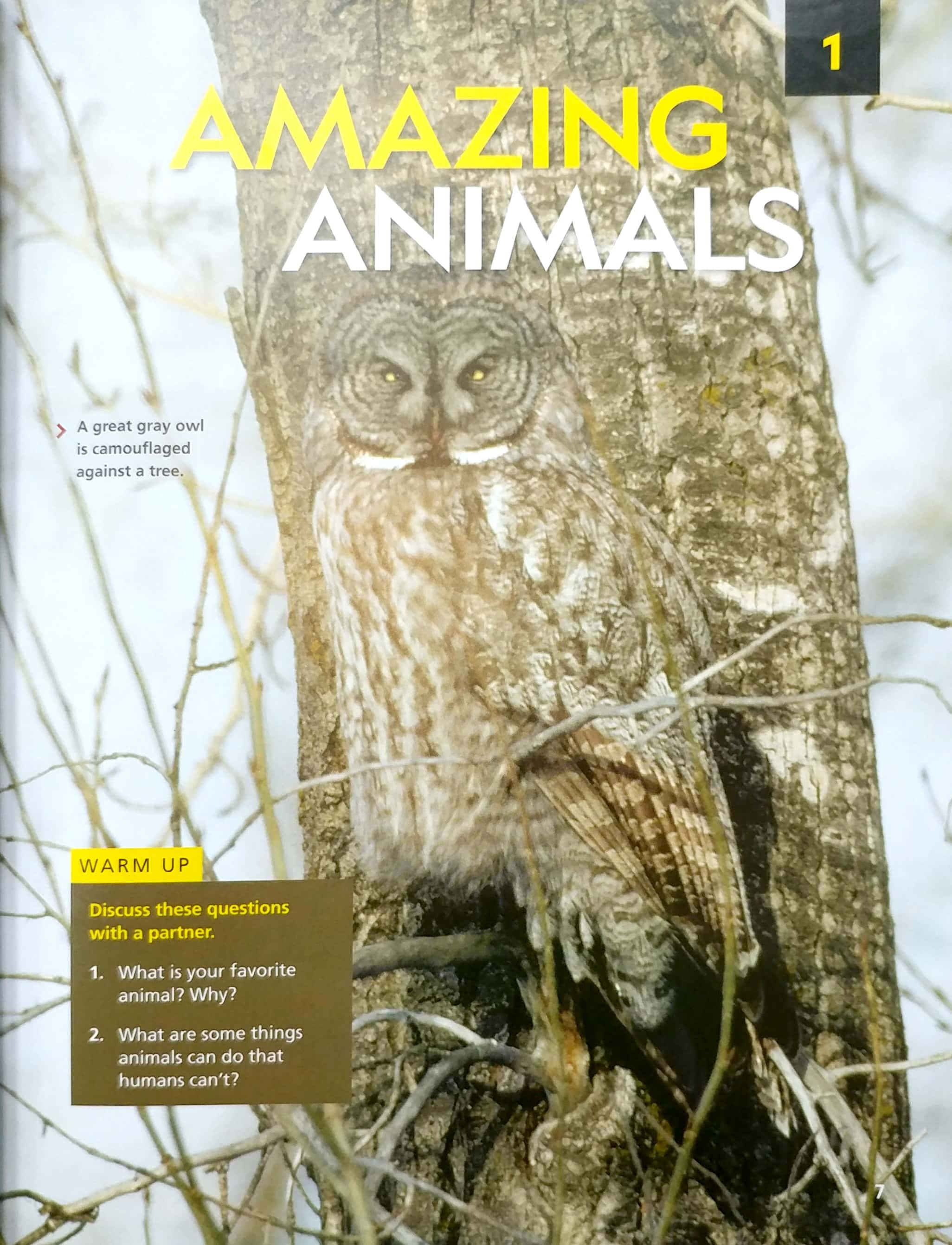 reading explorer 1 - student's book with the spark platform (third edition)