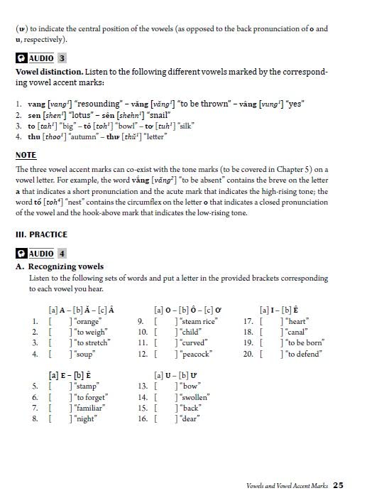 reading & writing vietnamese: a workbook for self-study: learn to read, write and pronounce vietnamese correctly (online audio & printable flash cards)