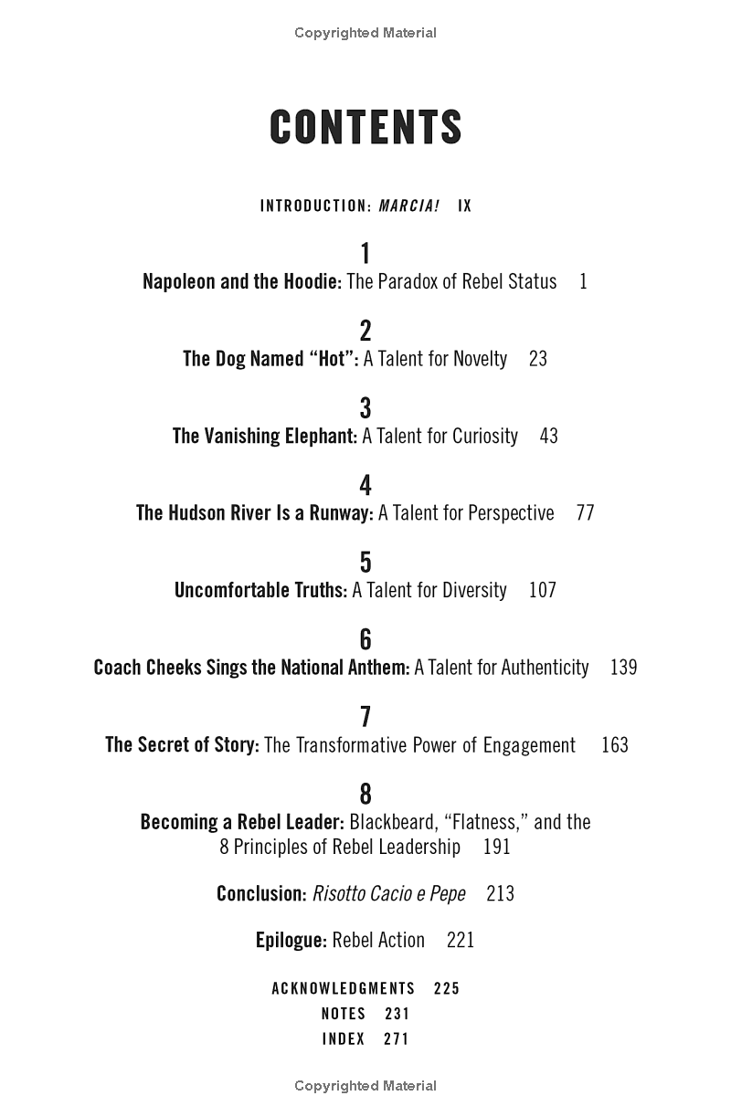 rebel talent: why it pays to break the rules at work and in life