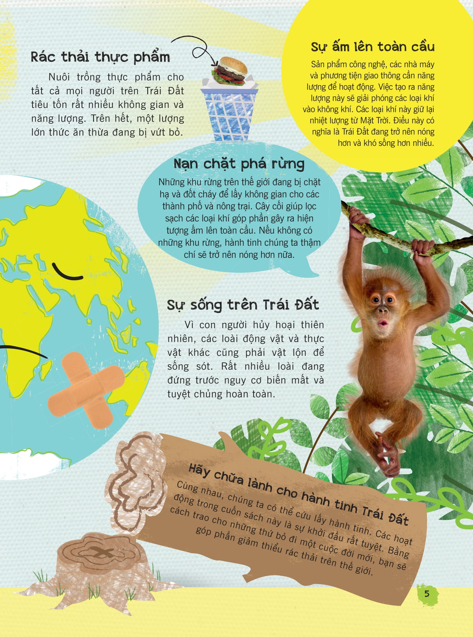 recycle and remake - những ý tưởng sáng tạo biến cũ thành mới