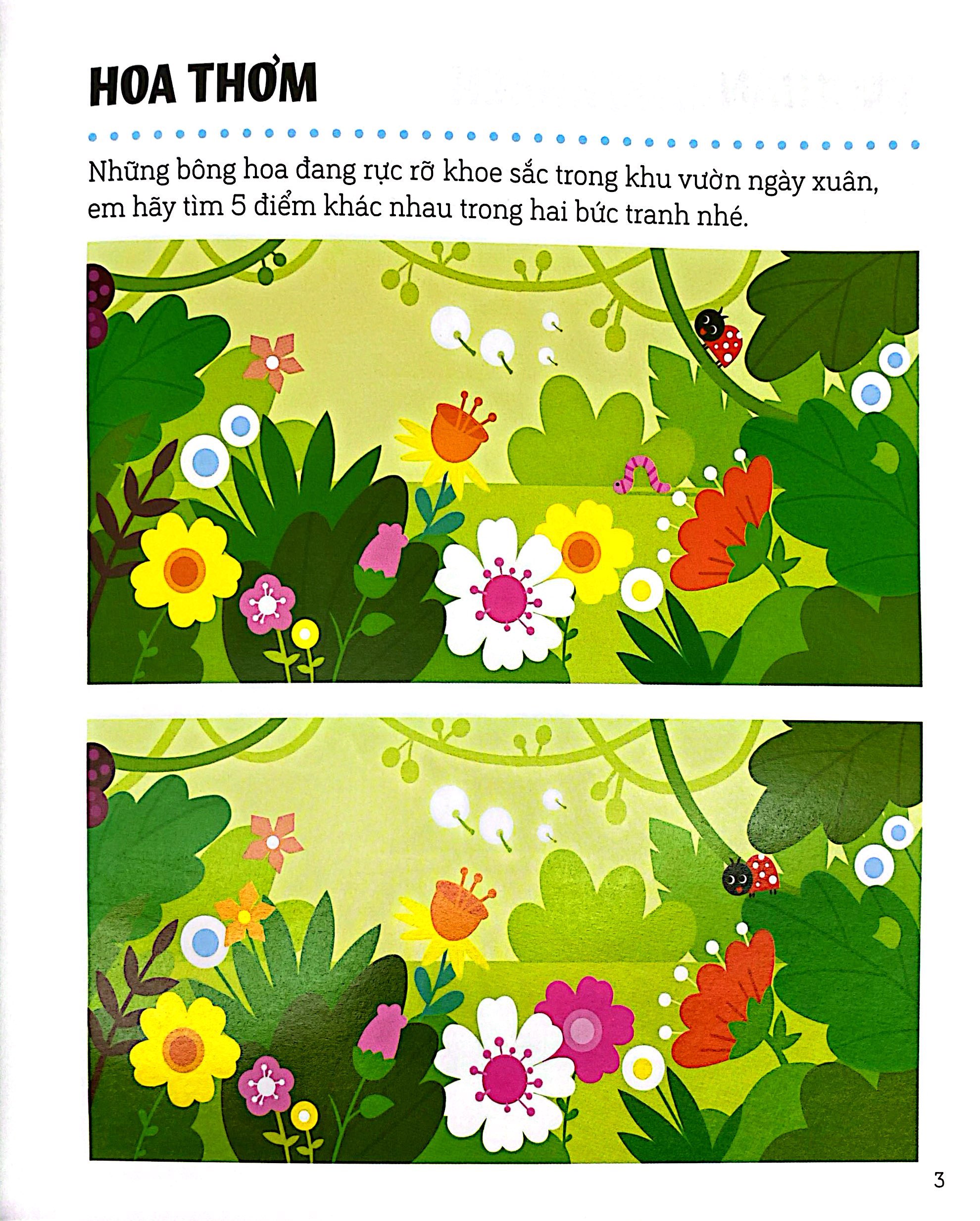 Ren Luyen Kha Nang Tap Trung - Tim Diem Khac Nhau