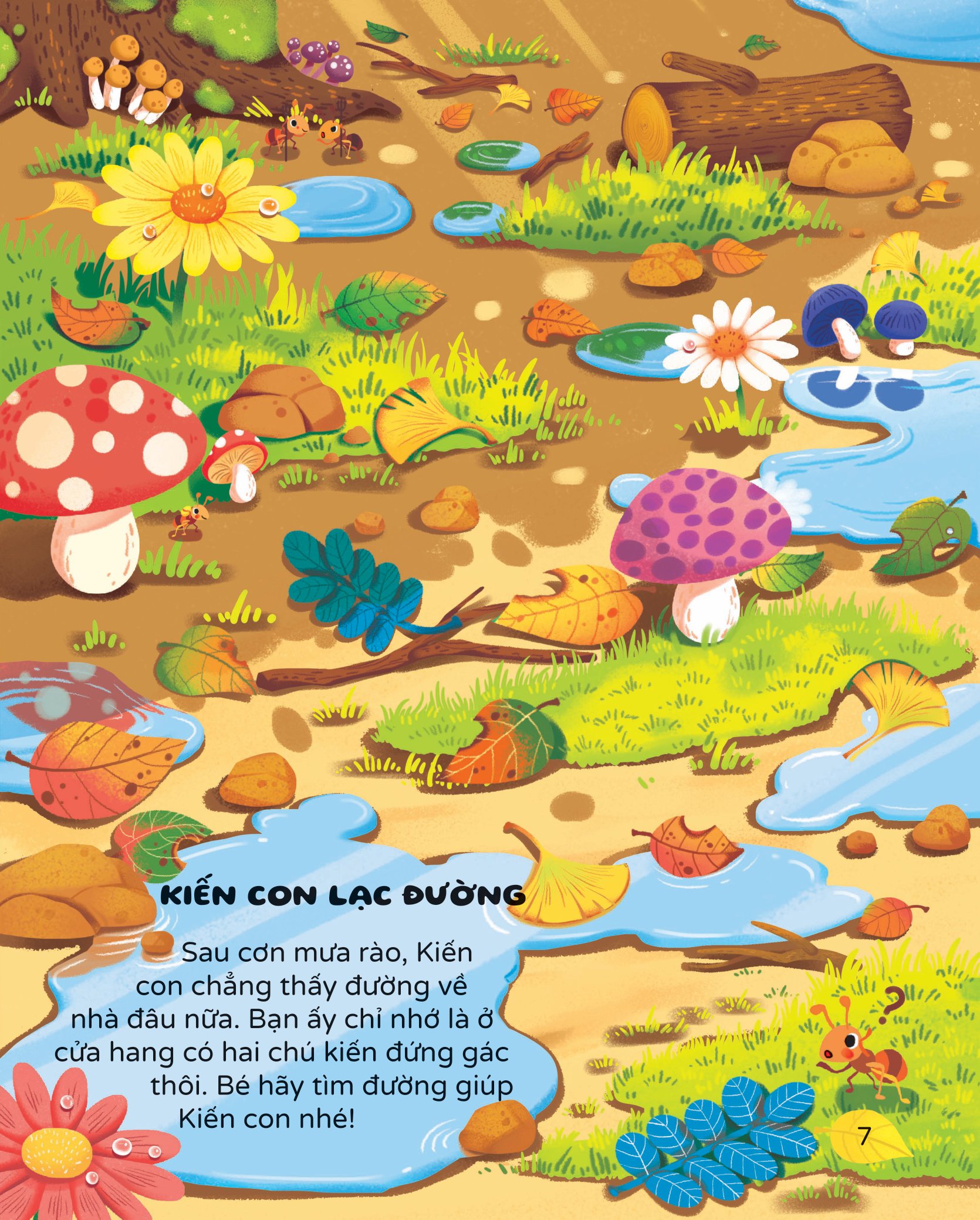 rèn luyện tư duy, nâng cao iq - cùng chơi trốn tìm