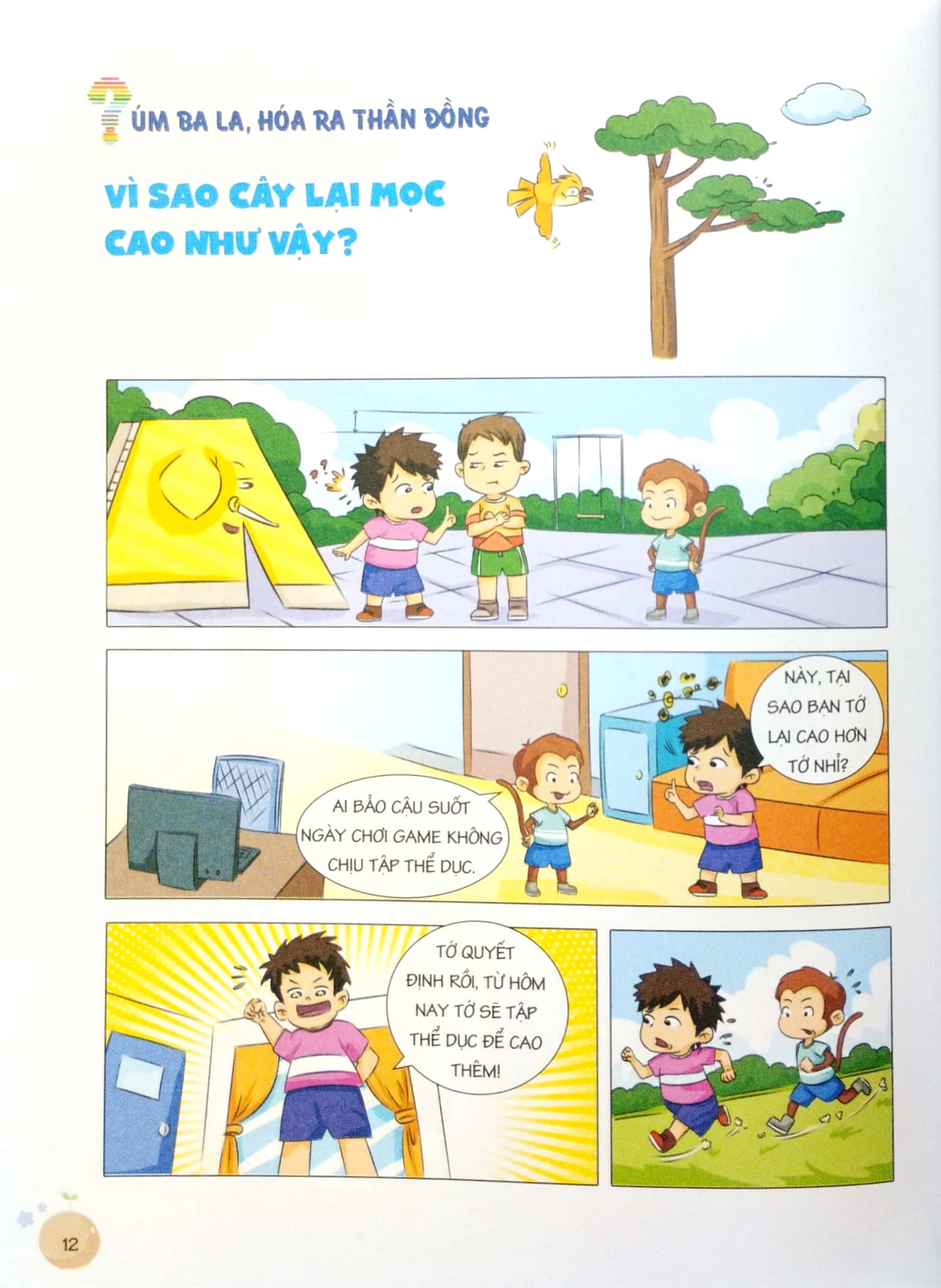 rèn luyện tư duy phản xạ logic - úm ba la hóa ra thần đồng - thế giới thực vật