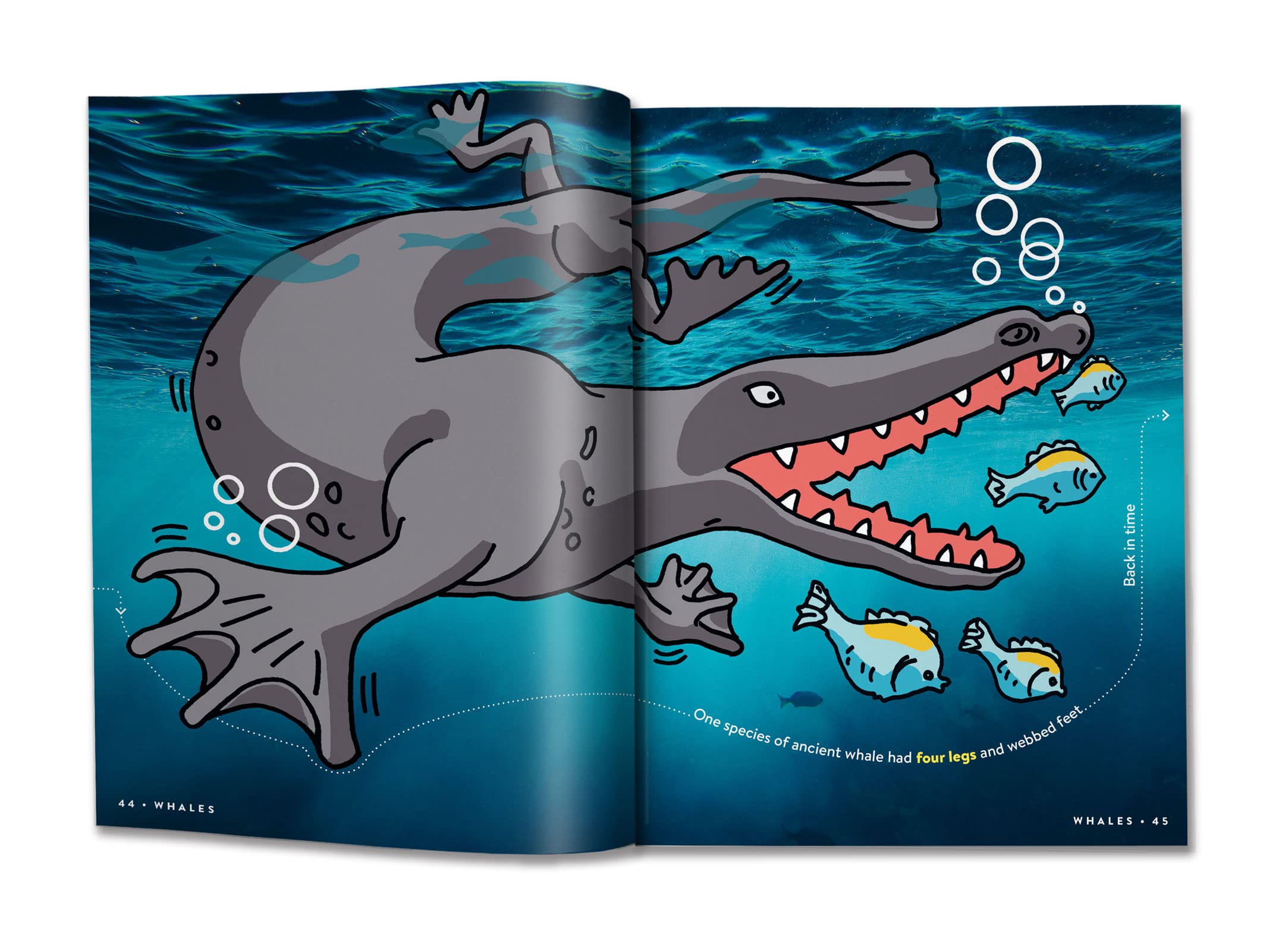 return to factopia! - follow the trail of 400 more facts