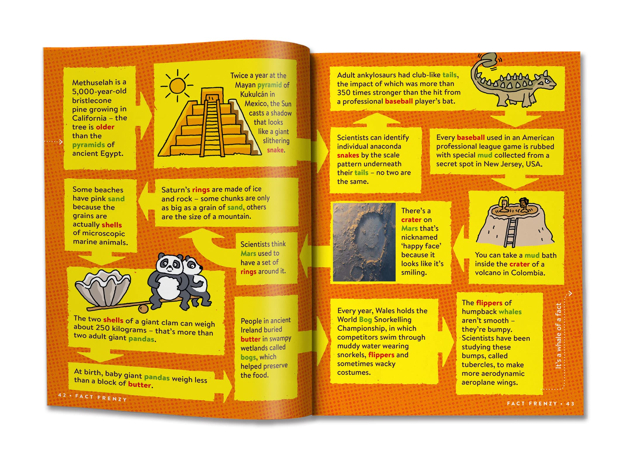 return to factopia! - follow the trail of 400 more facts