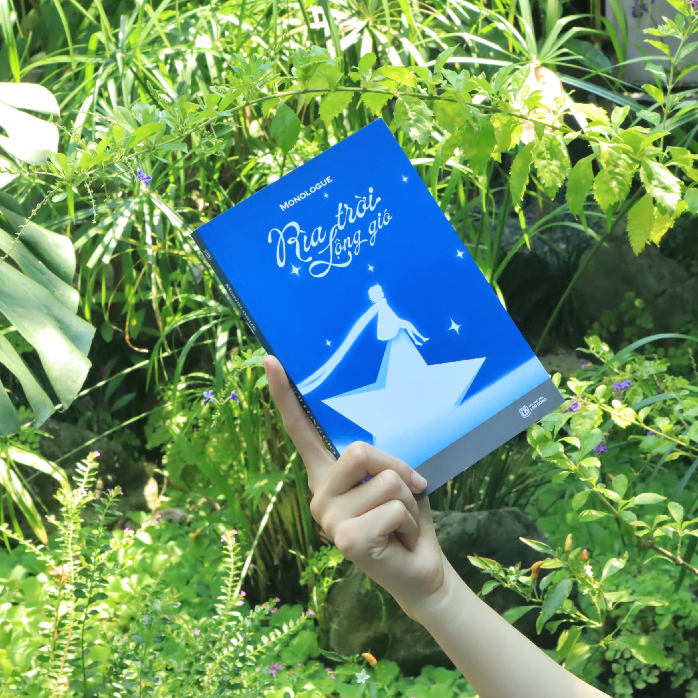 rìa trời lộng gió