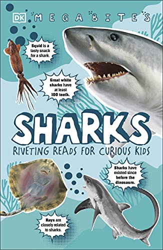 riveting reads for curious kids - sharks