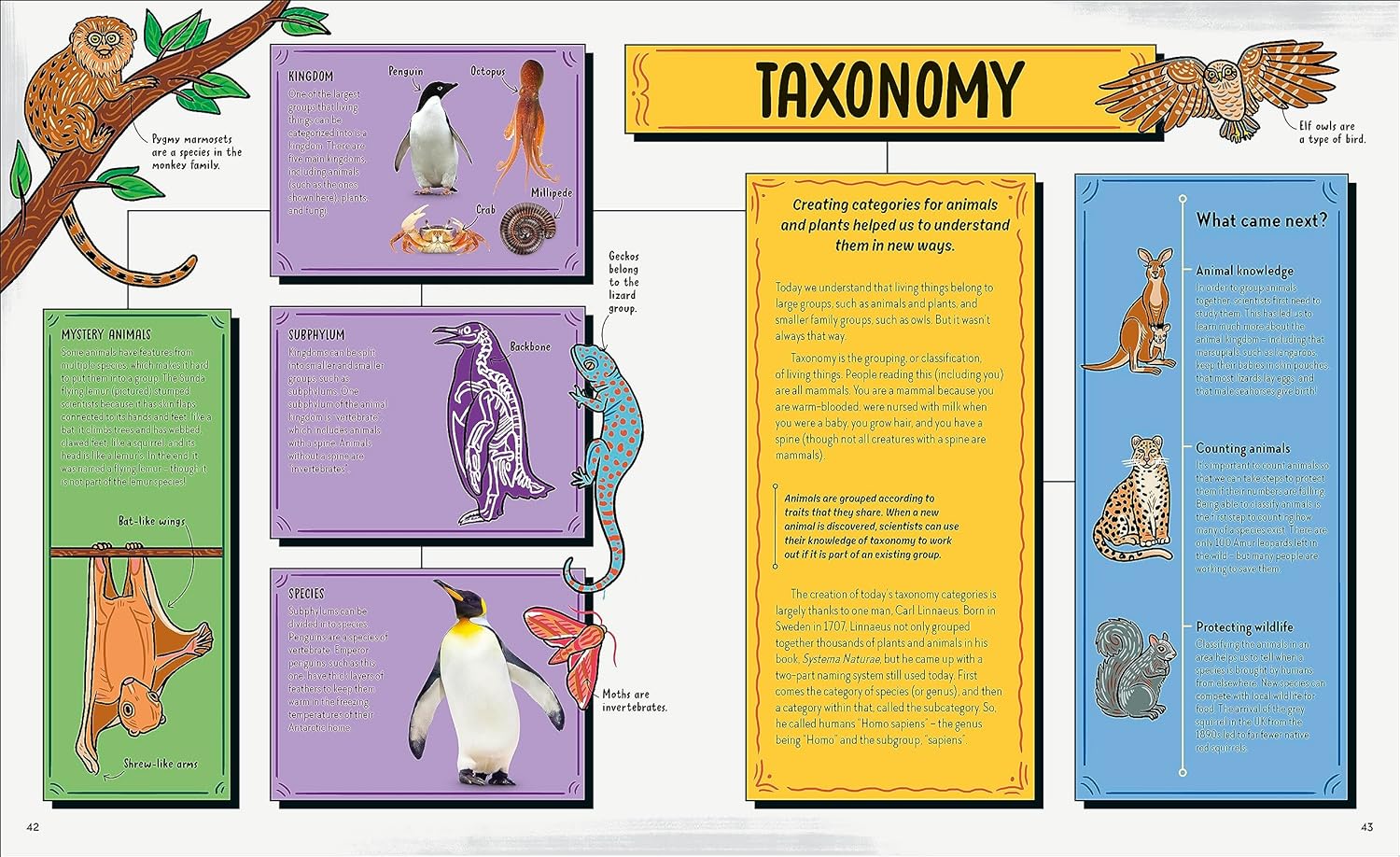 robert winston's story of science