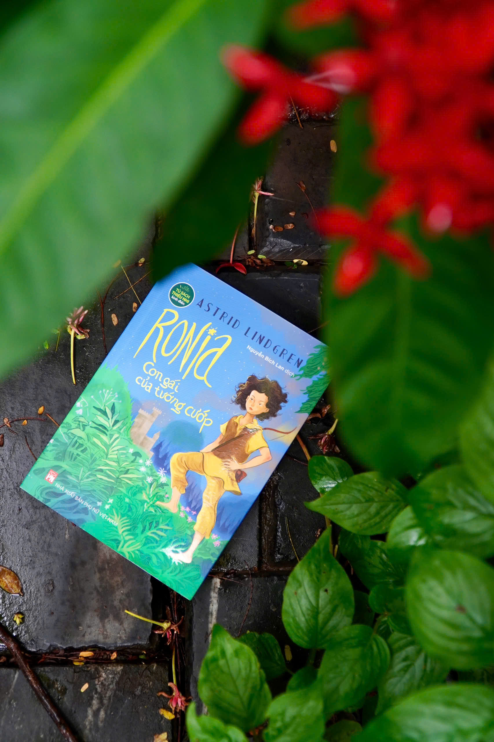 Ronia - Con Gai Cua Tuong Cuop