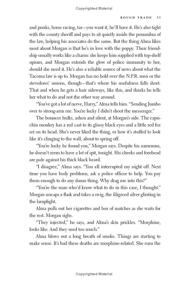 rough trade - a novel