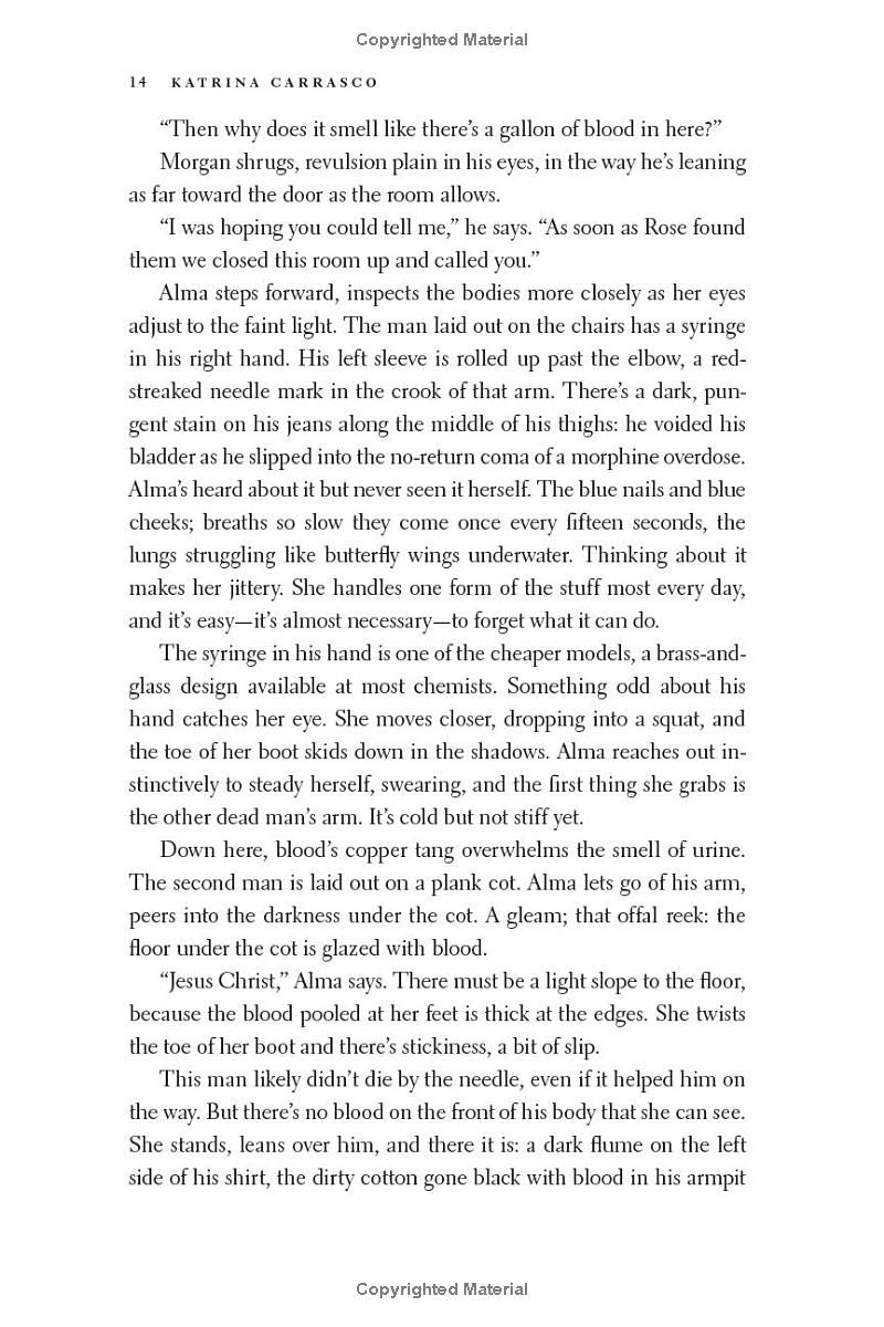 rough trade - a novel