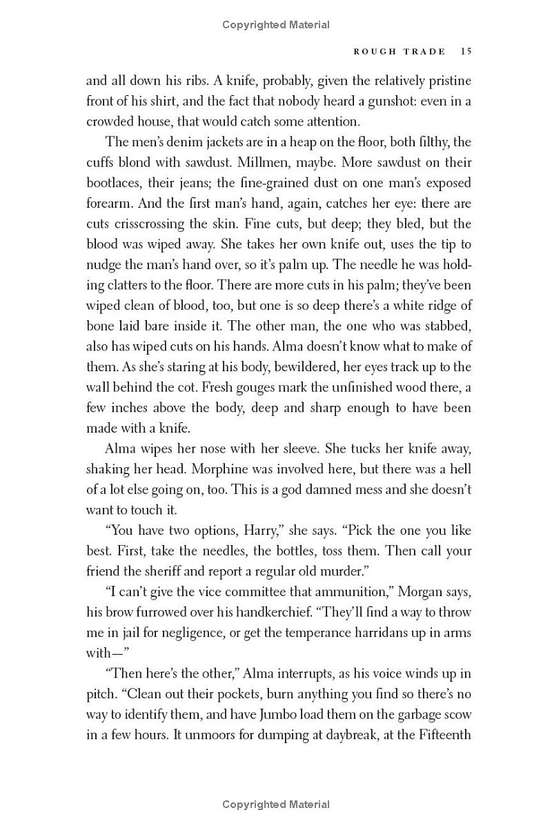 rough trade - a novel