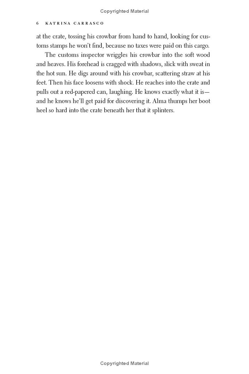 rough trade - a novel