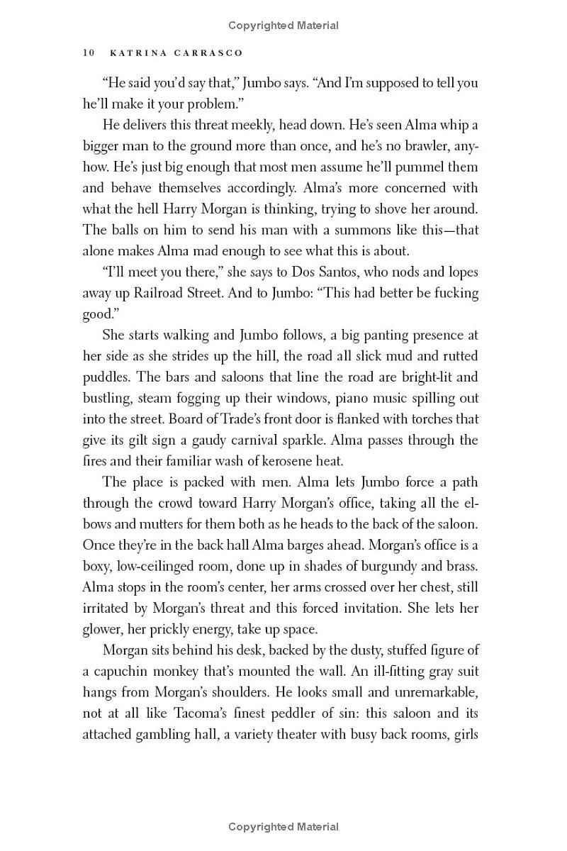 rough trade - a novel