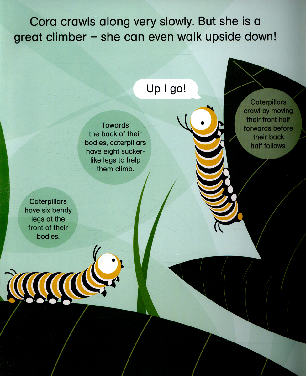 rounds: cora caterpillar pb