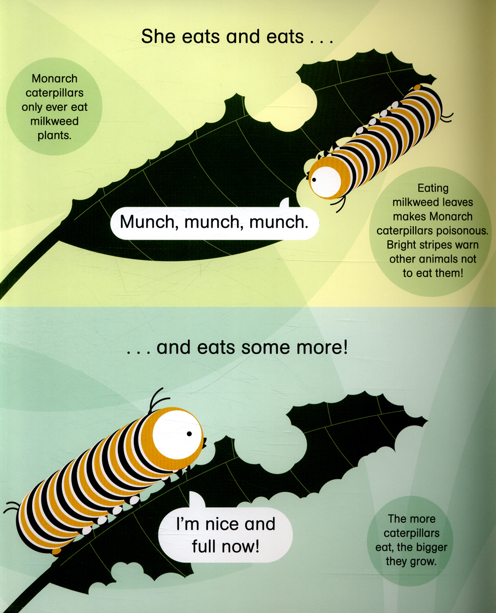 rounds: cora caterpillar pb