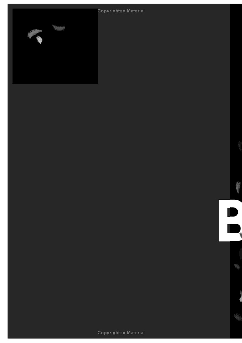 rules for being a girl