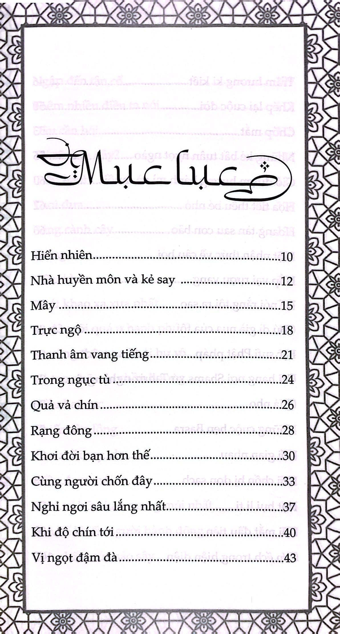 rumi nhà huyền môn và kẻ say