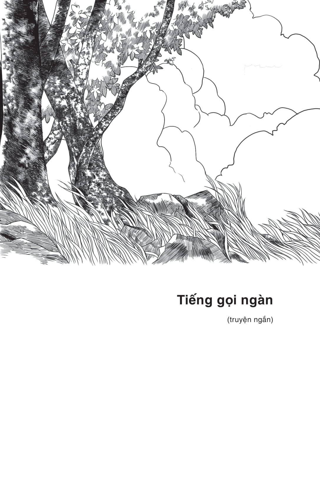 rừng đêm xào xạc (tái bản 2025)