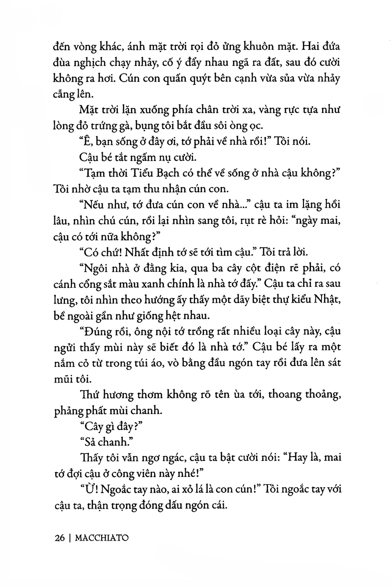 sả chanh mùa hạ